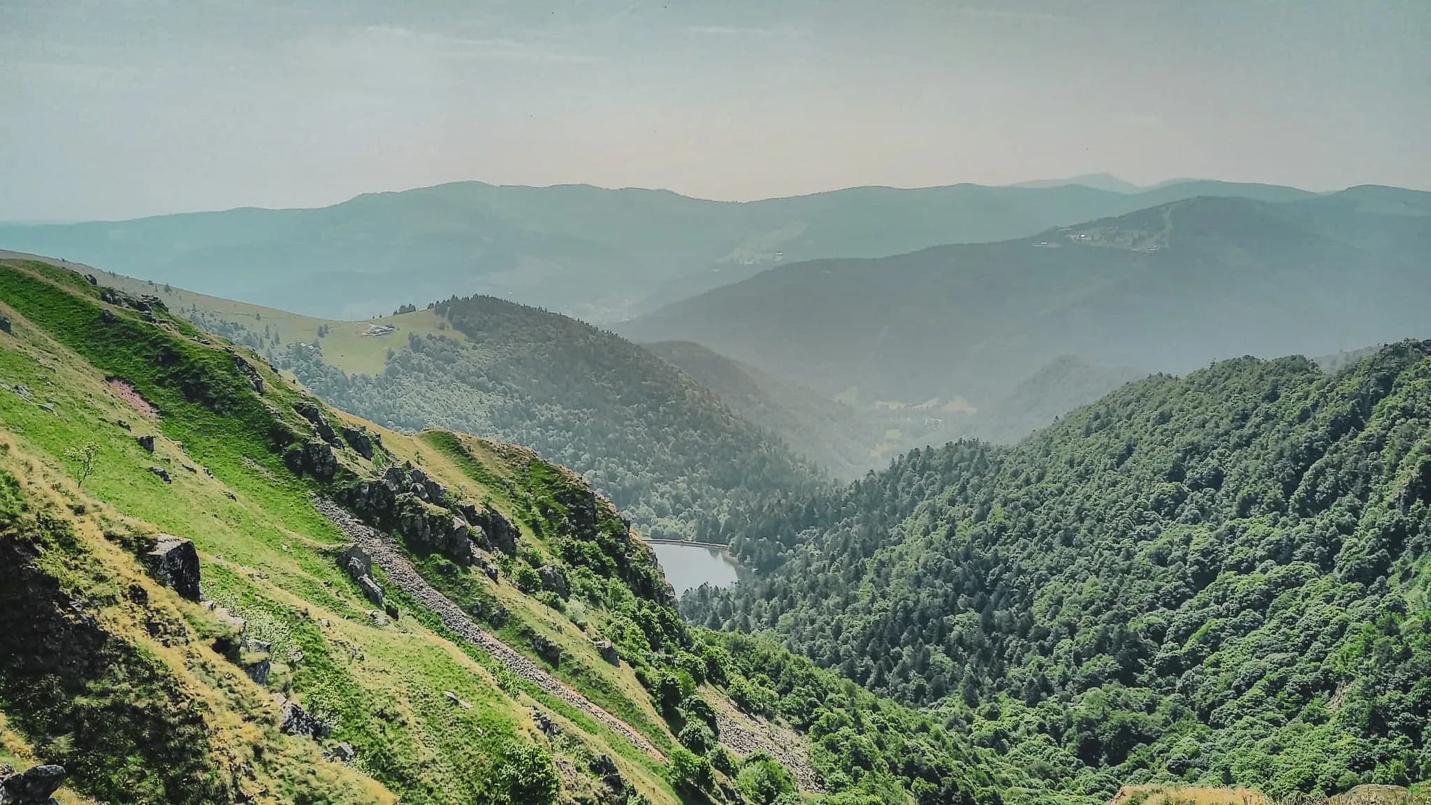 Paysage verdoyant des Vosges, avec montagnes ondulantes et un lac paisible en contrebas.