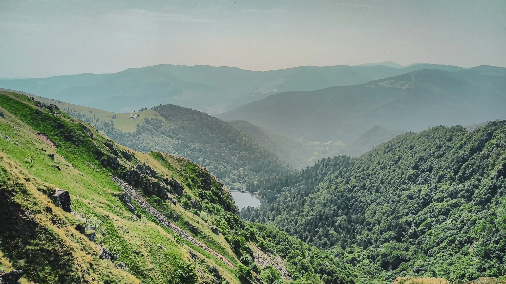 Paysage verdoyant des Vosges, avec montagnes ondulantes et un lac paisible en contrebas.