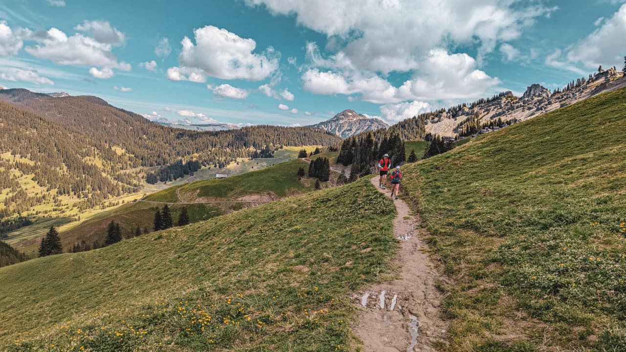 Un sentier sinueux traverse des paysages verdoyants, sous un ciel bleu parsemé de nuages.