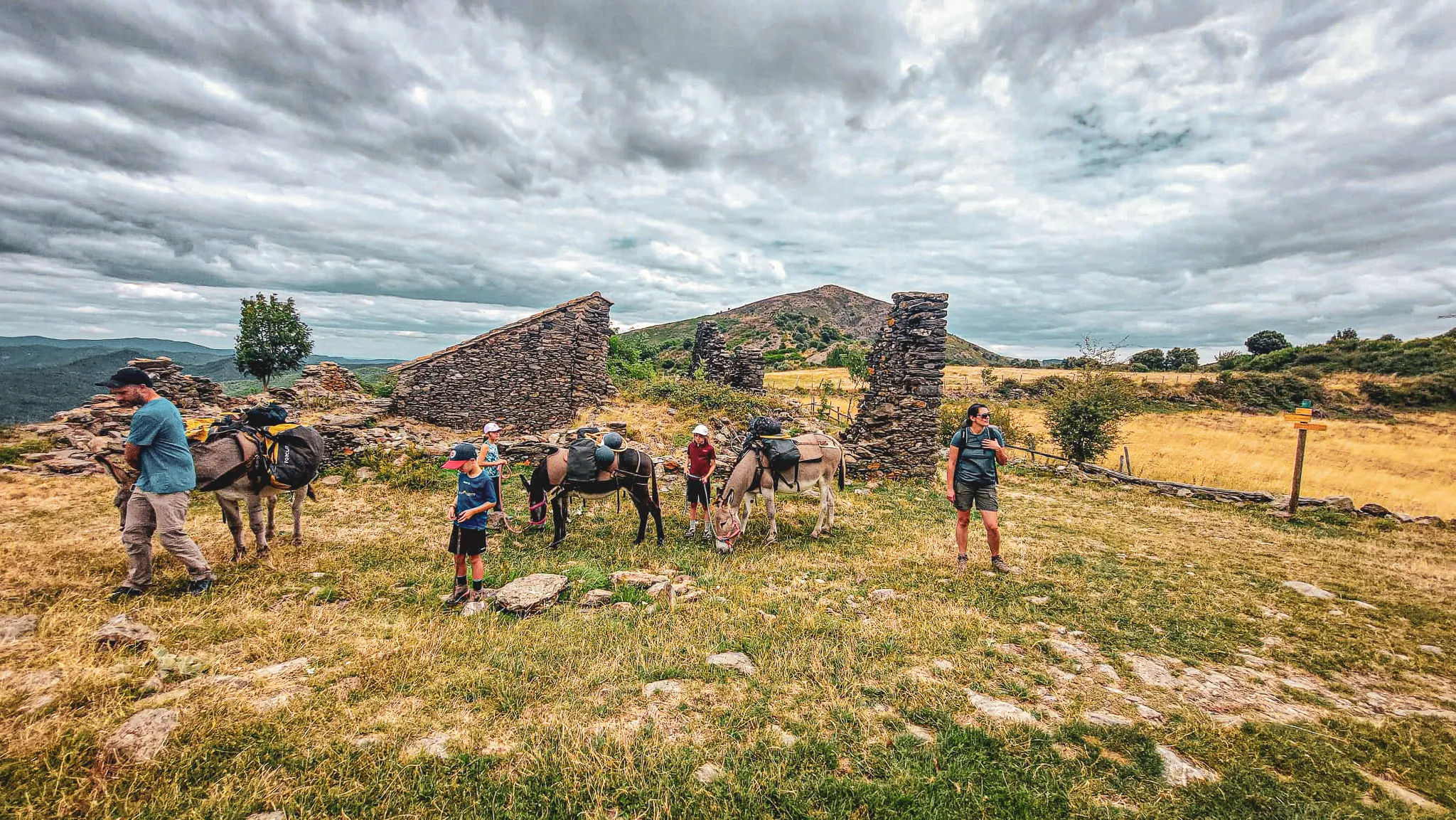 A group of hikers with donkeys, in the middle of the Cévennes under a bright cloudy sky.