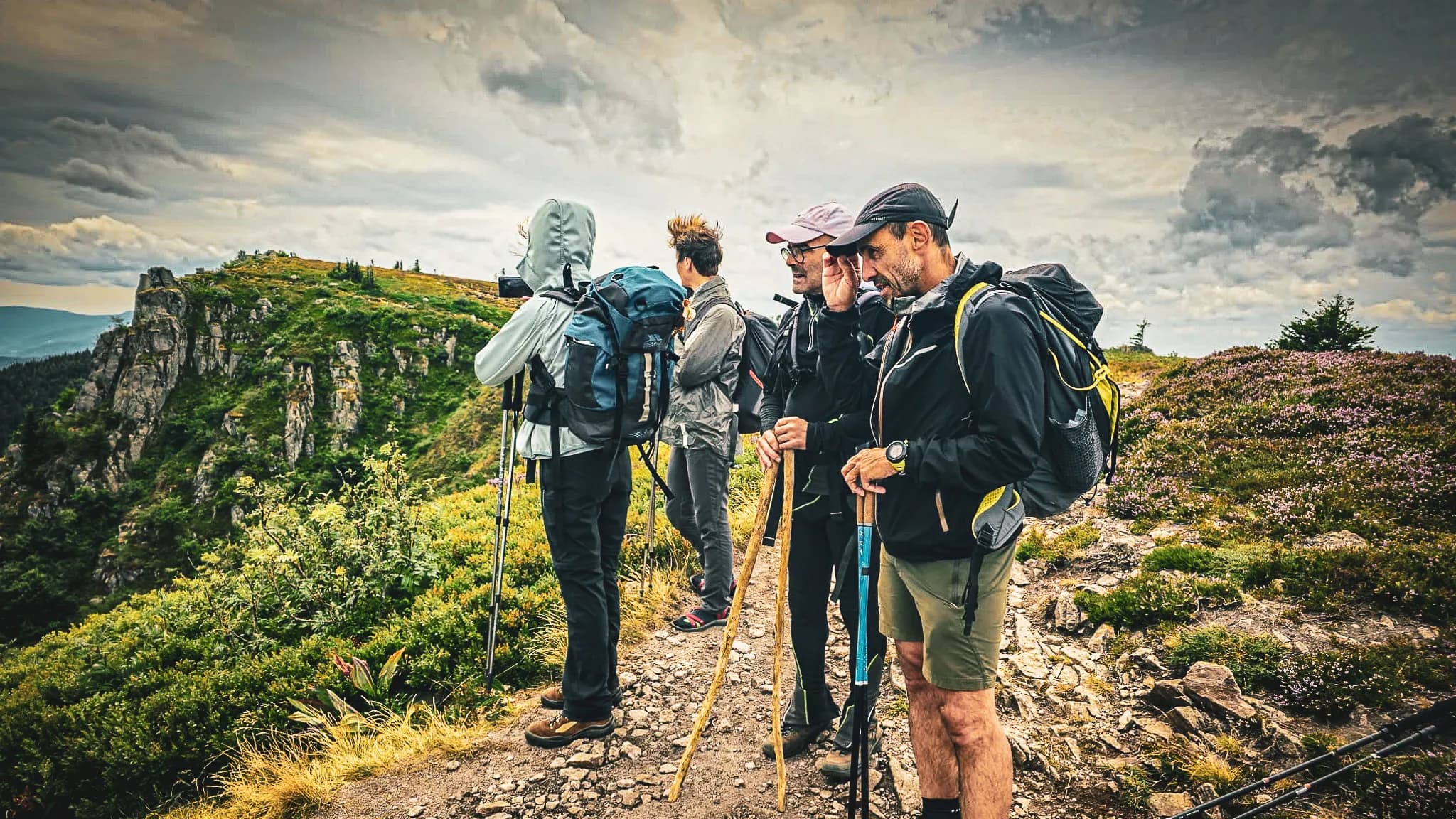 Un groupe de randonneurs contemplant un panorama verdoyant des Vosges, prêts pour l'aventure.