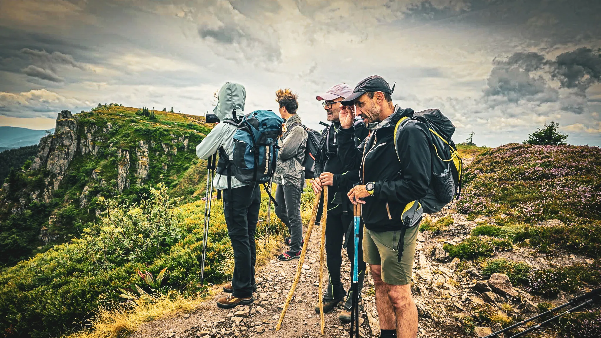Un groupe de randonneurs contemplant un panorama verdoyant des Vosges, prêts pour l'aventure.