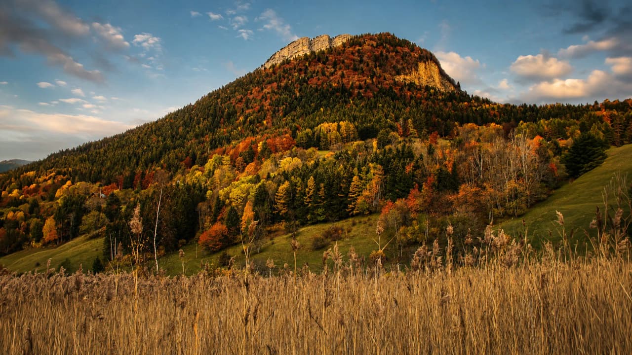 Montagne colorée par l'automne, bordée de champs dorés sous un ciel lumineux. Évasion nature garantie.