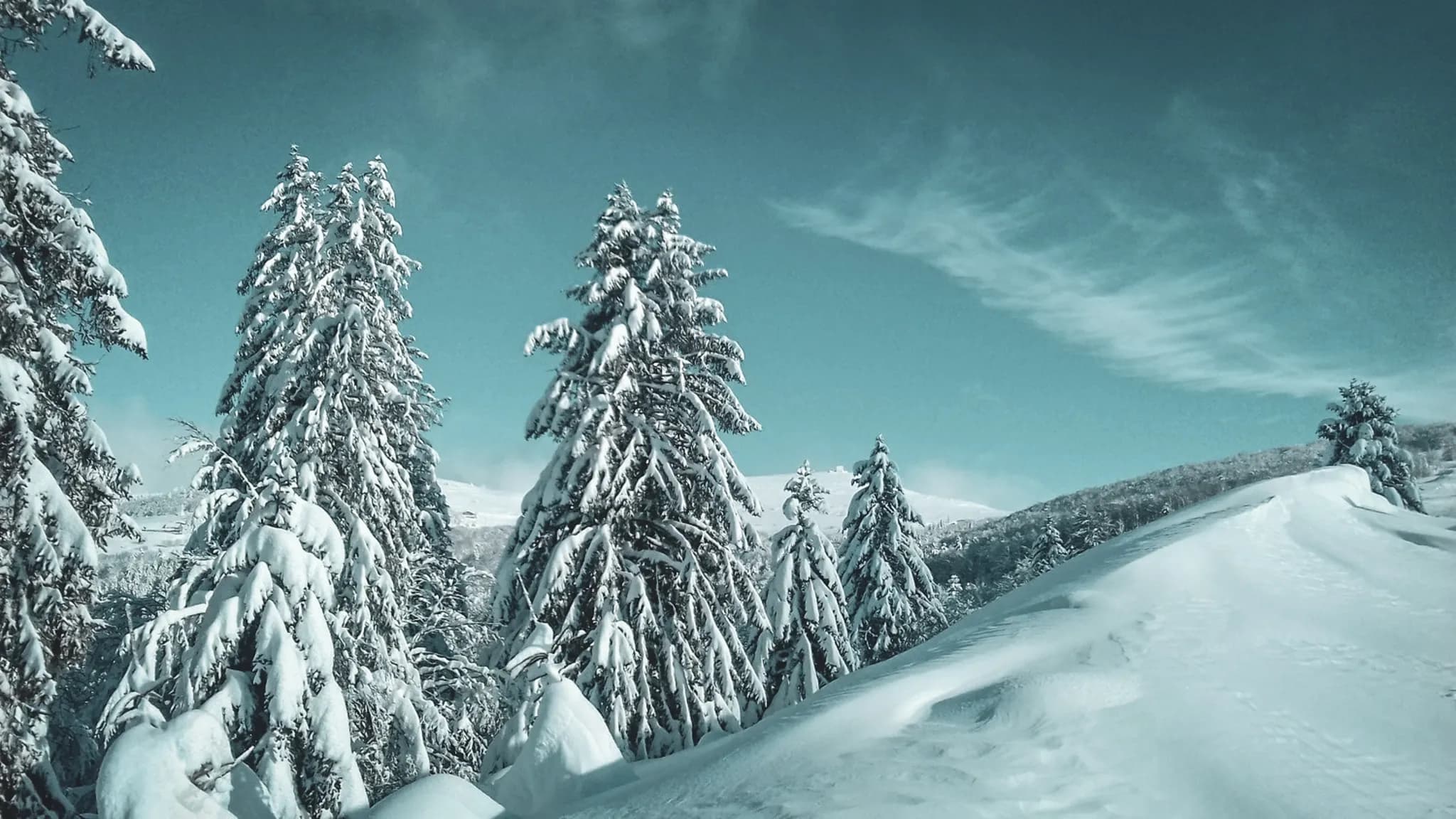 Breathtaking snowy landscape in the Vosges, perfect for a winter getaway with serene trees and blue skies.