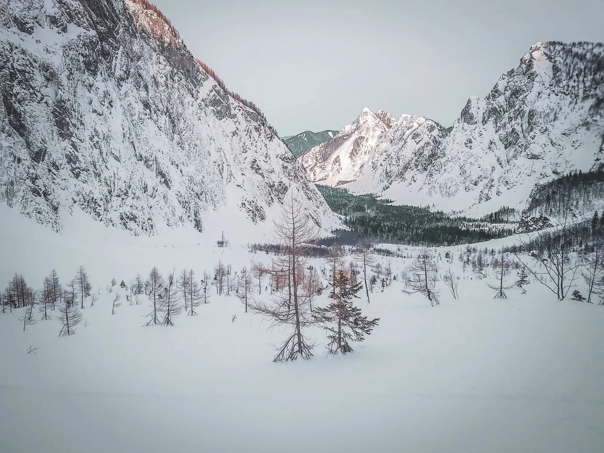 Vastes paysages enneigés des Alpes juliennes, entre montagnes majestueuses et forêts sereines.