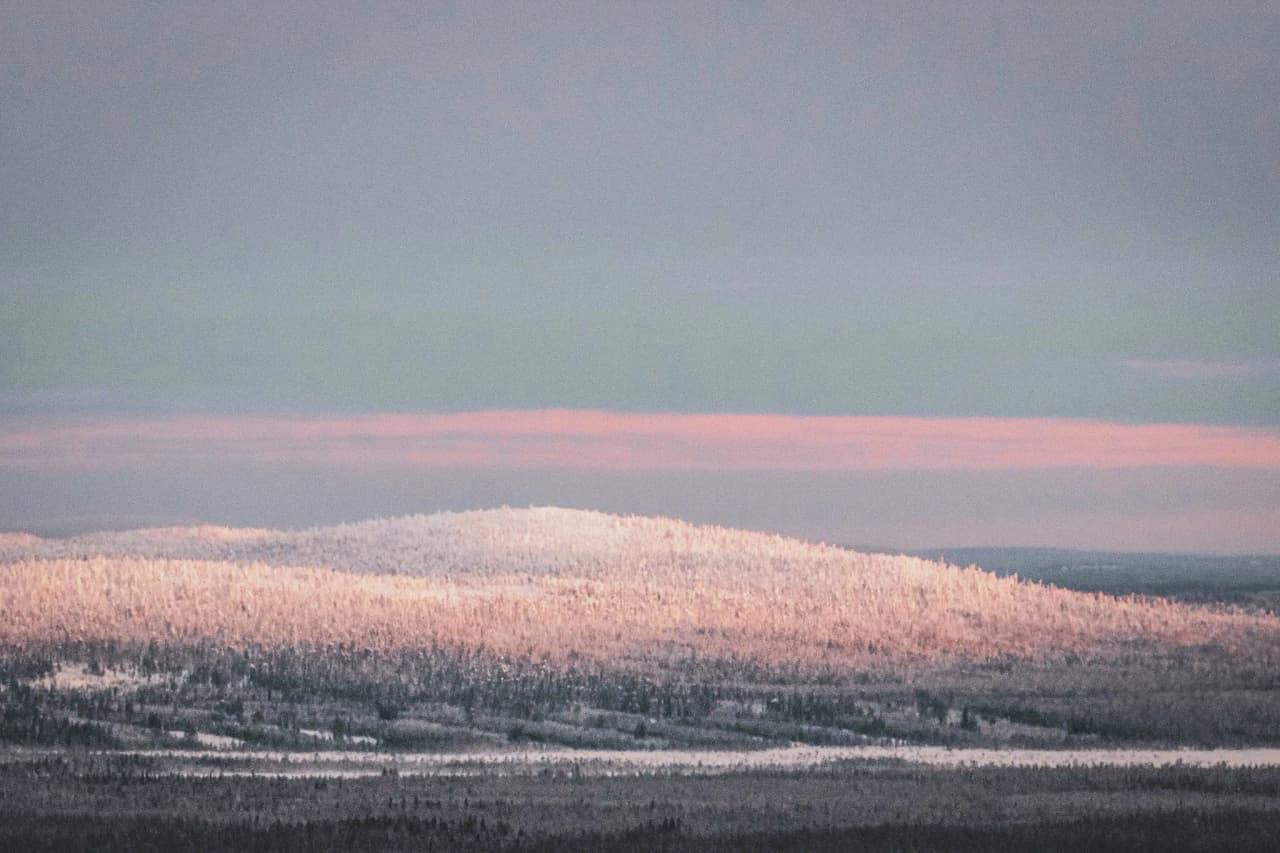 Vastes paysages enneigés en Laponie, bordés de forêts scintillantes sous un ciel pastel.