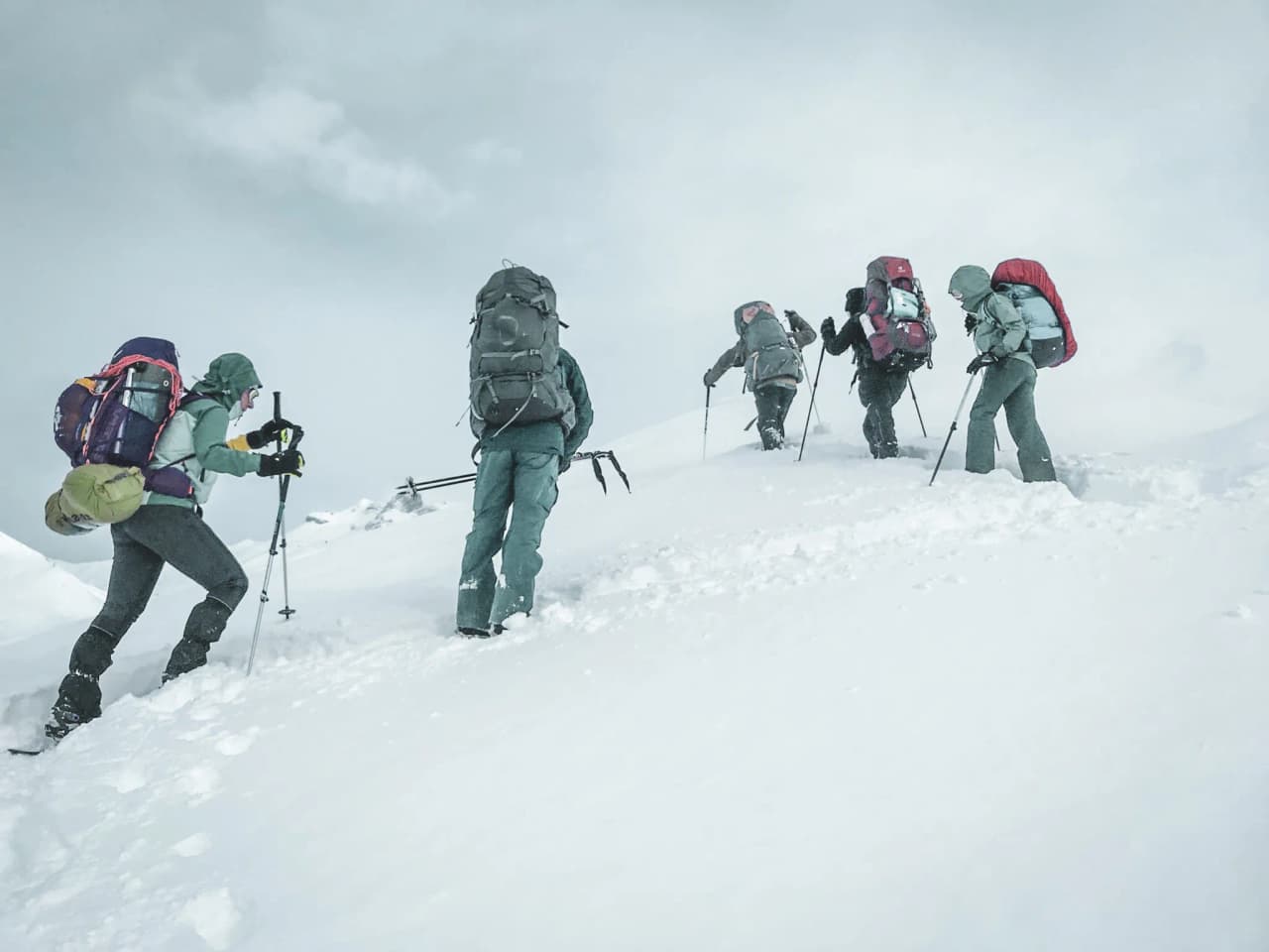 Des aventuriers en raquettes progressent sur une neige immaculée vers des sommets majestueux.
