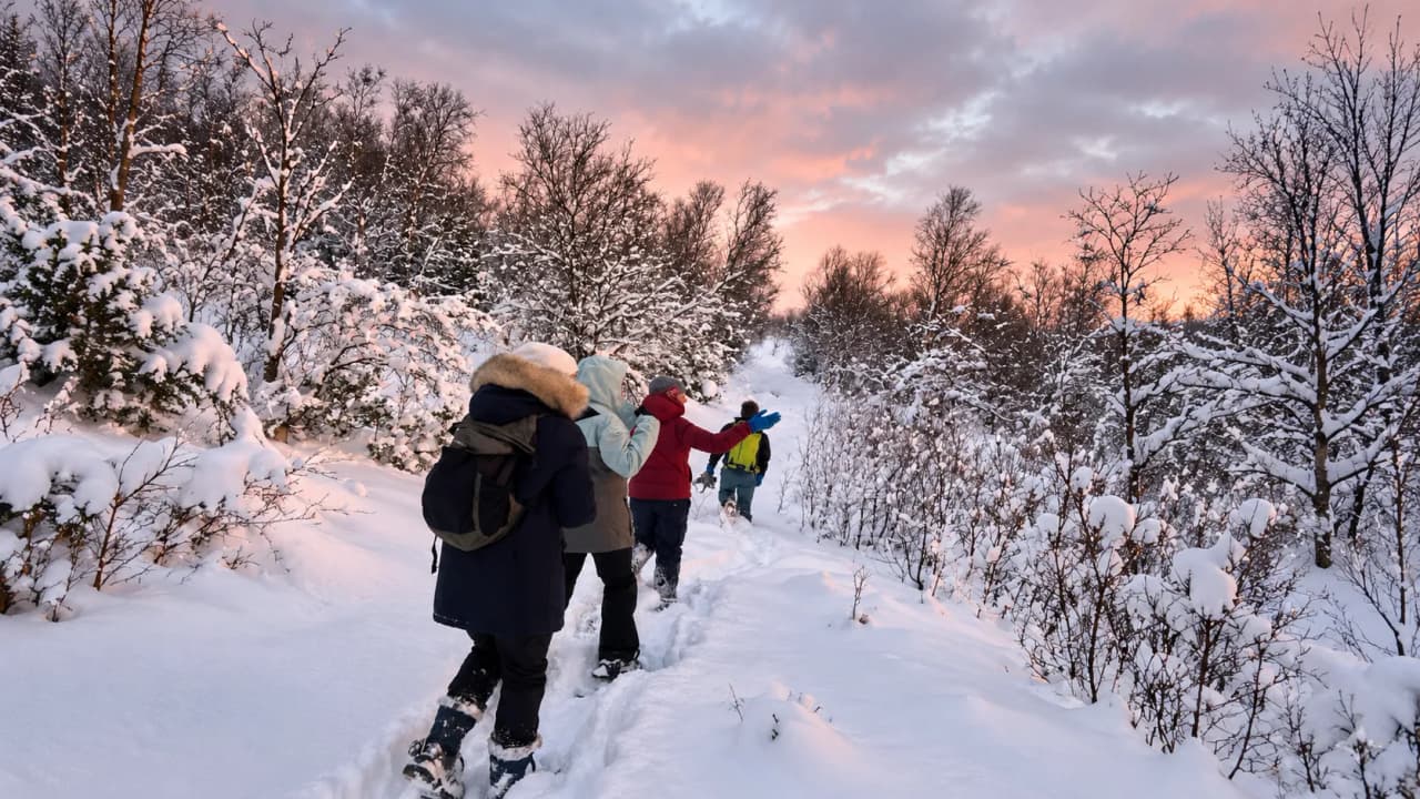 Groupe de randonneurs en raquettes dans un paysage enneigé, sous un ciel coloré au crépuscule.