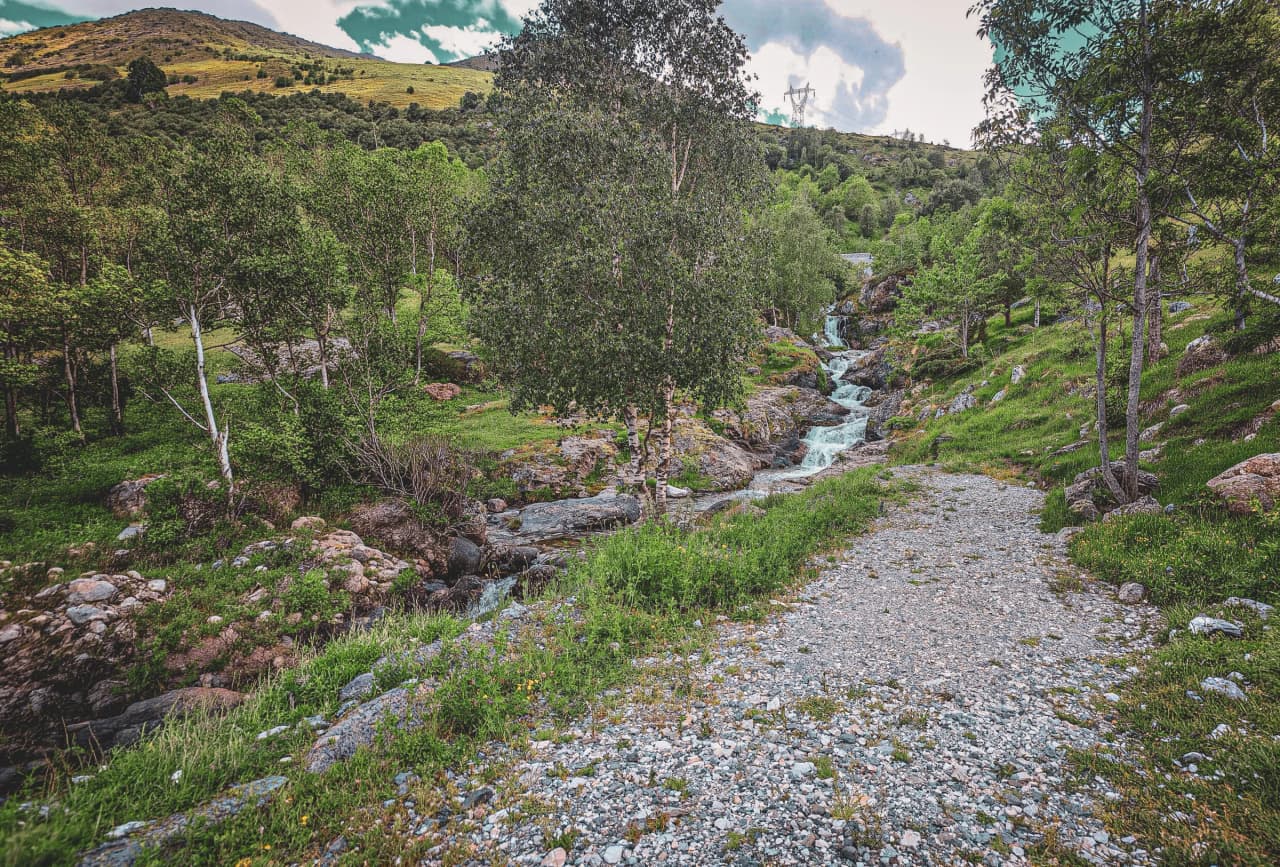 Un sentier de gravier longe un ruisseau de montagne qui cascade en petites chutes à travers une forêt verdoyante et un versant escarpé.