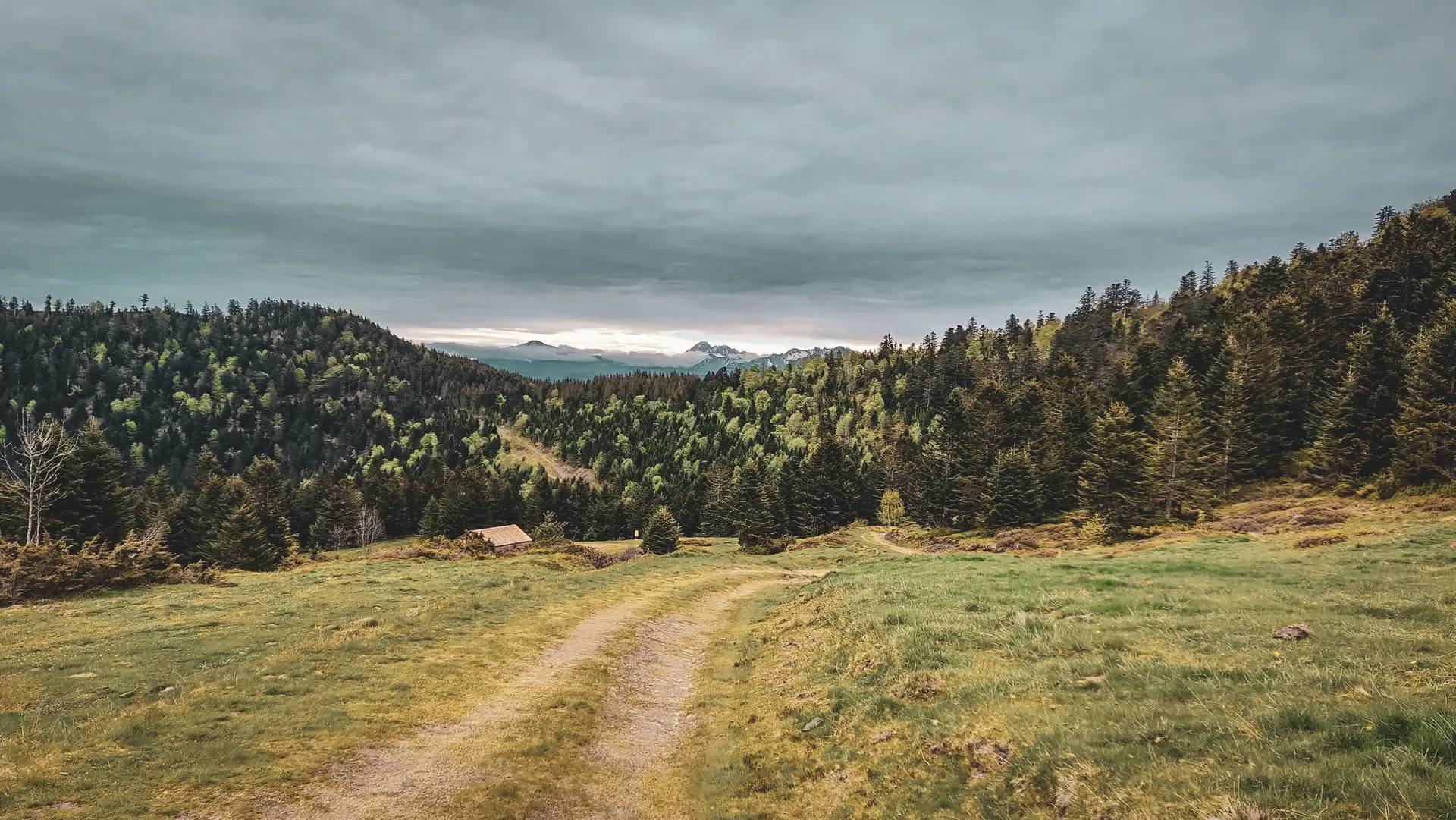 Een kronkelend pad leidt door groene heuvels onder een bewolkte hemel in de Pyreneeën.
