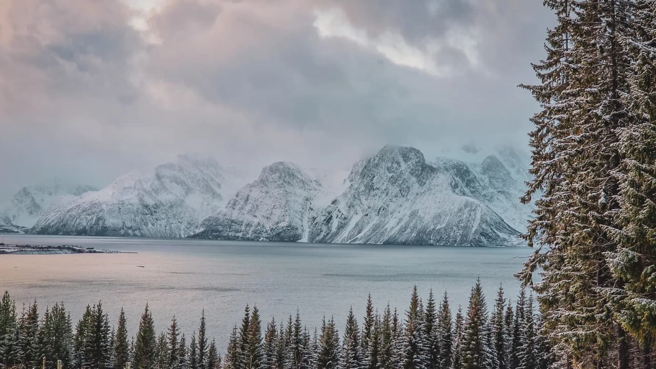 Een betoverend landschap van de fjorden van Tromsø, tussen besneeuwde bergen en groene bossen.