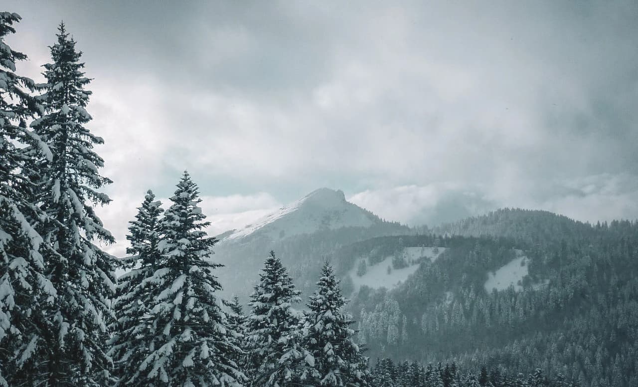 Vastes paysages enneigés des crêtes de Chartreuse, entre sapins majestueux et montagnes mystérieuses.
