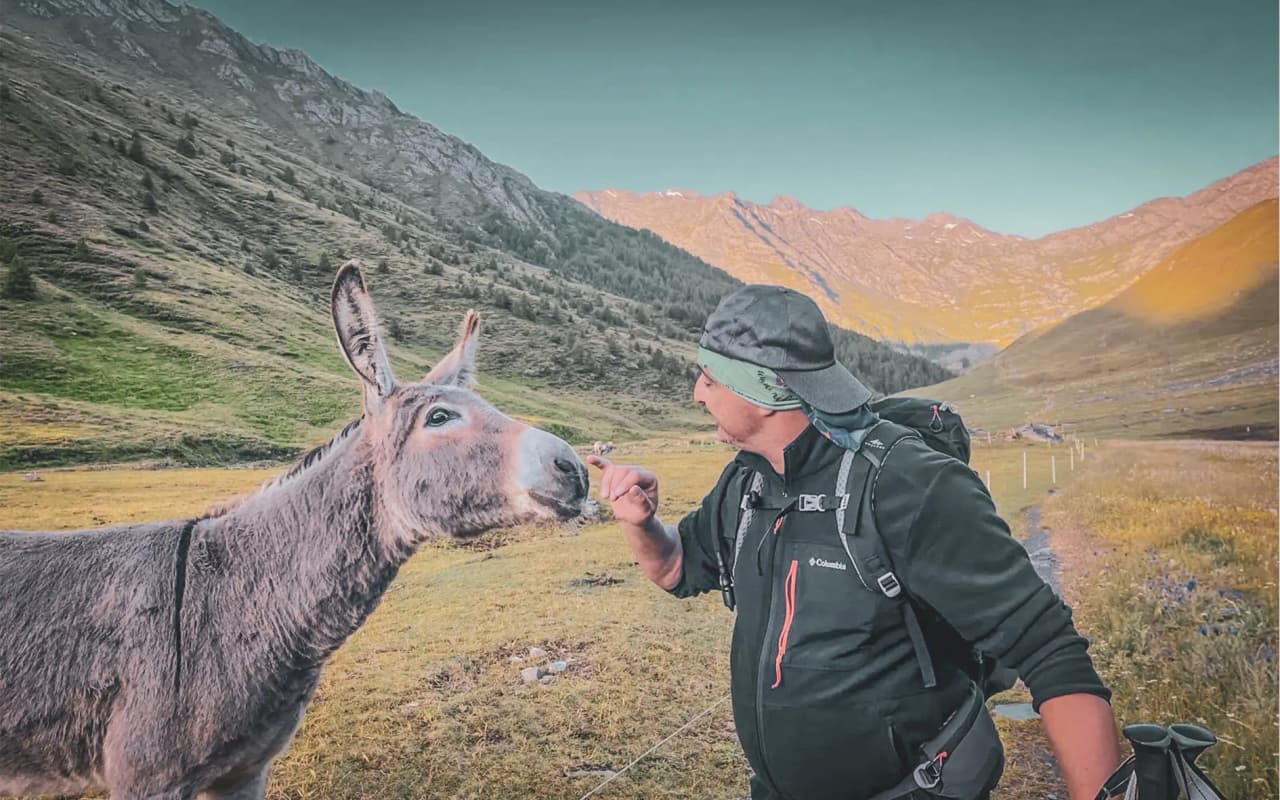 Een wandelende man streelt een ezel in een groen alpenlandschap, een uitnodiging om te reizen.
