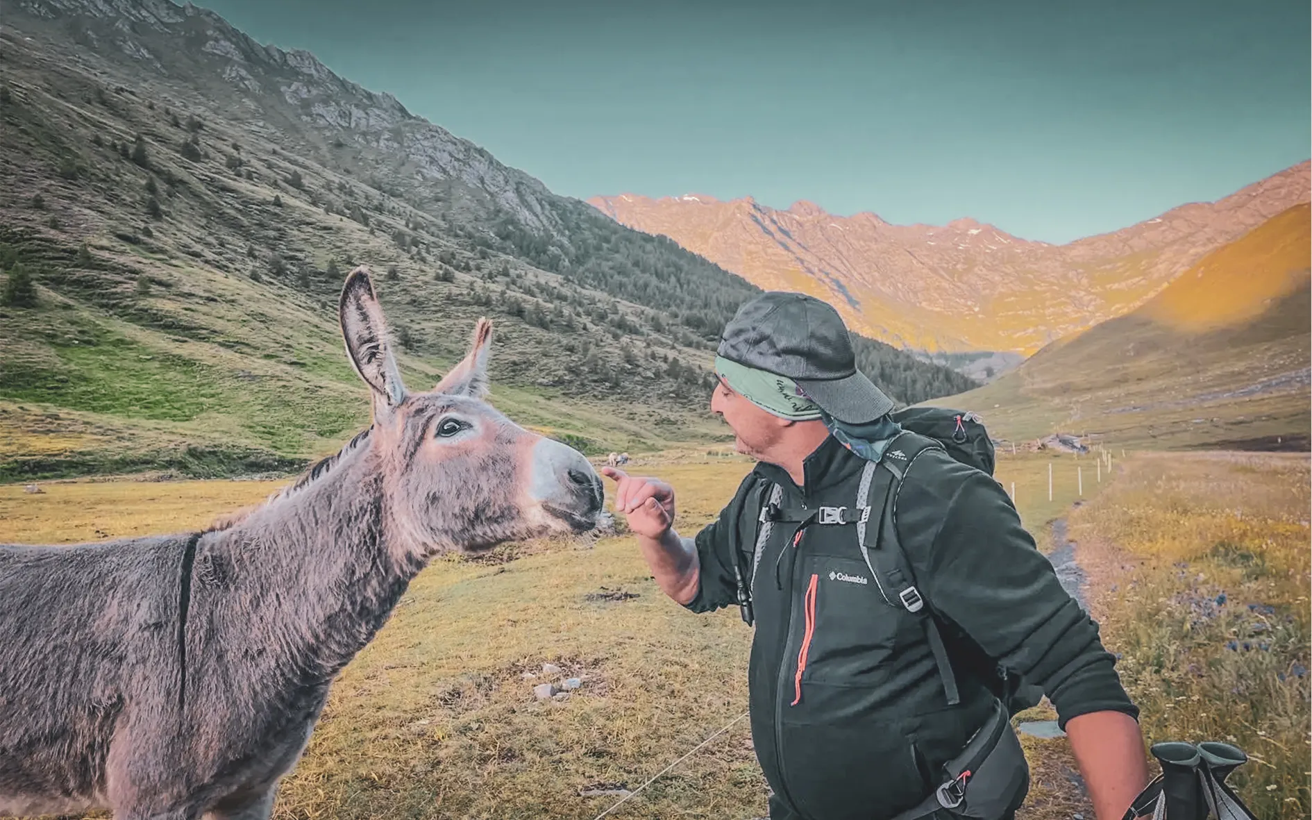 Homme en randonnée caresse un âne dans un paysage alpin verdoyant, une invitation au voyage.