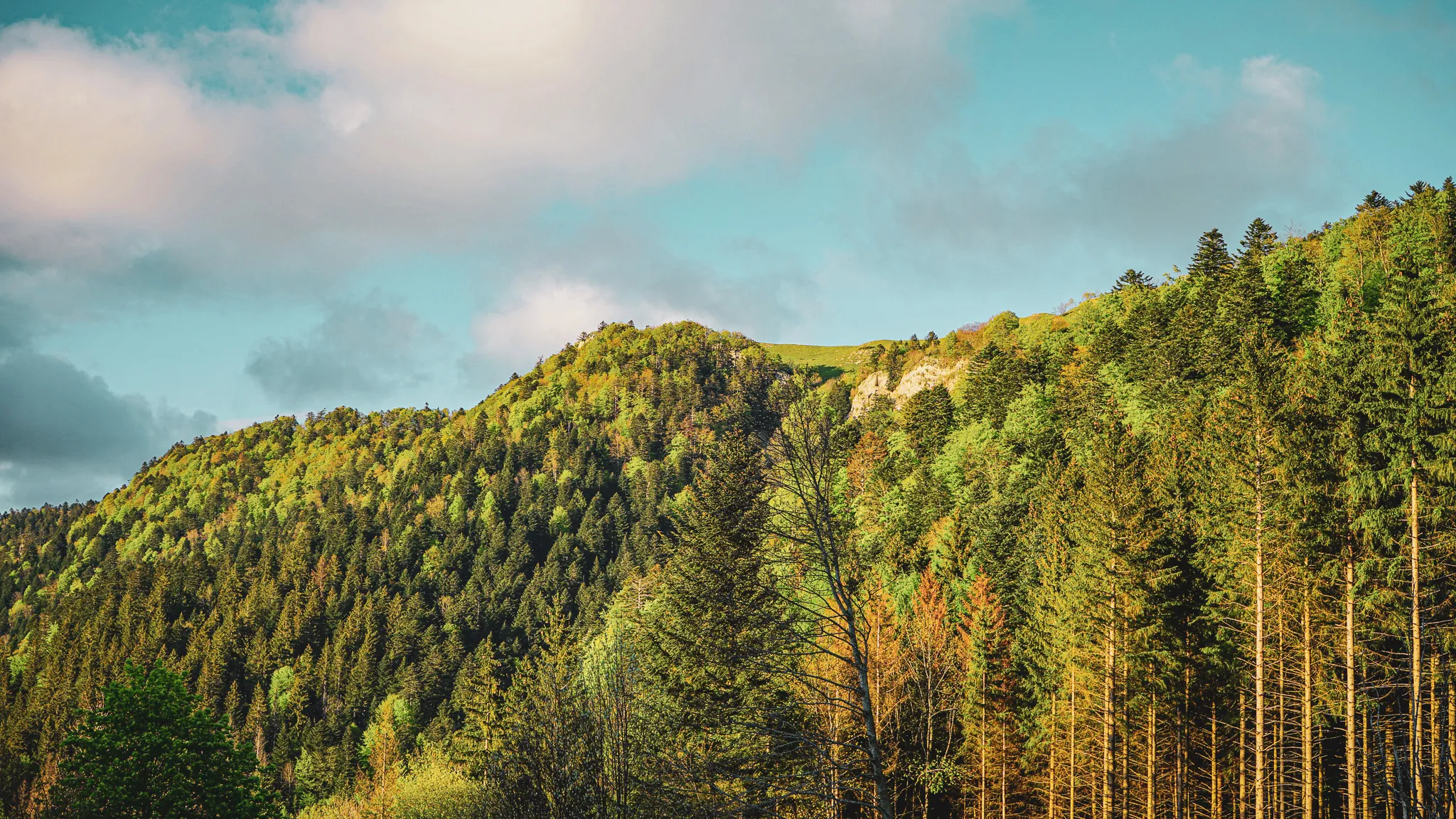 Het groene landschap van het Massif du Jura, met beboste heuvels onder een wolkenblauwe hemel. Perfect voor avontuur!