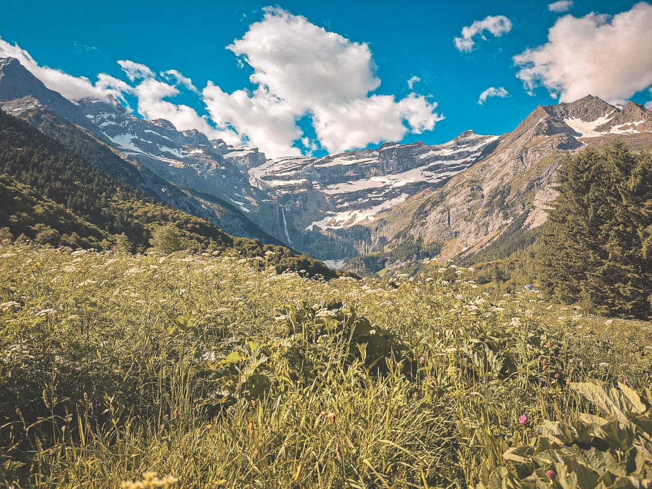 Prachtig panorama van de Pyreneeën, met bloeiende velden op de voorgrond en een zonnige lucht.