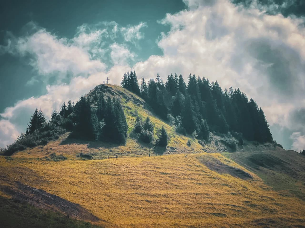A green, tree-lined summit under a majestic sky, ideal for mountain walks.