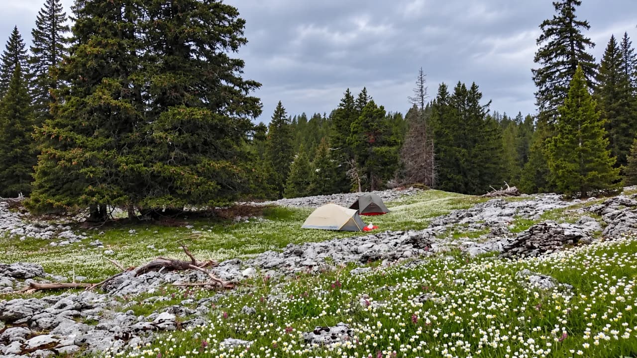 Kampeerplek op de hoogvlakten van de Vercors, met tenten te midden van bloeiende weiden en groene bossen.