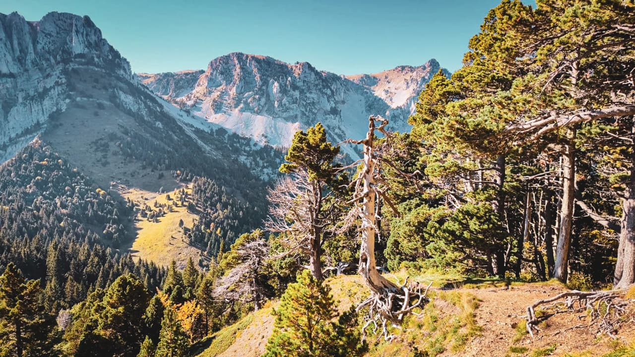 Majestueuze bergen onder een blauwe hemel, weelderig groene bomen, een adembenemend panorama wacht op je.