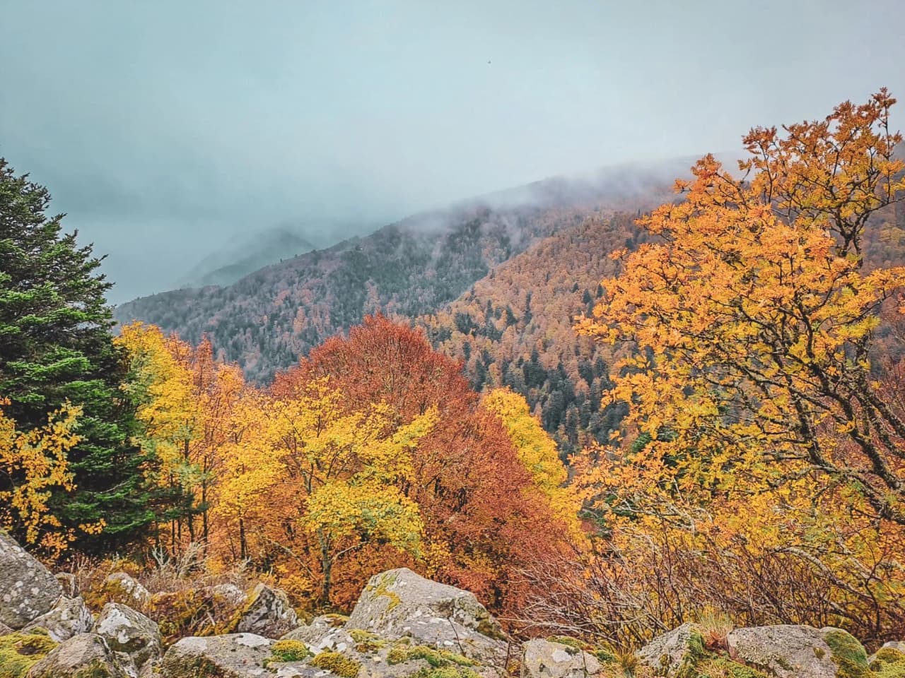 Paysage automnal dans les Vosges, montagnes embrumées et feuillage doré, invitation à l'évasion.