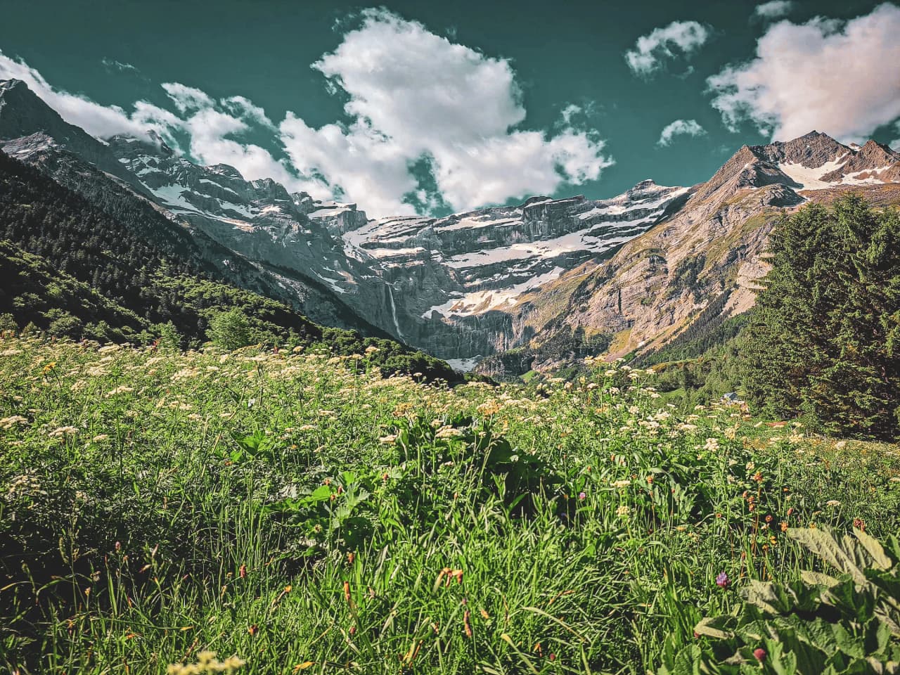 Une vaste prairie fleurie s'étend au premier plan, s'ouvrant sur un cirque montagneux spectaculaire aux sommets enneigés et aux parois vertigineuses sous un ciel contrasté.
