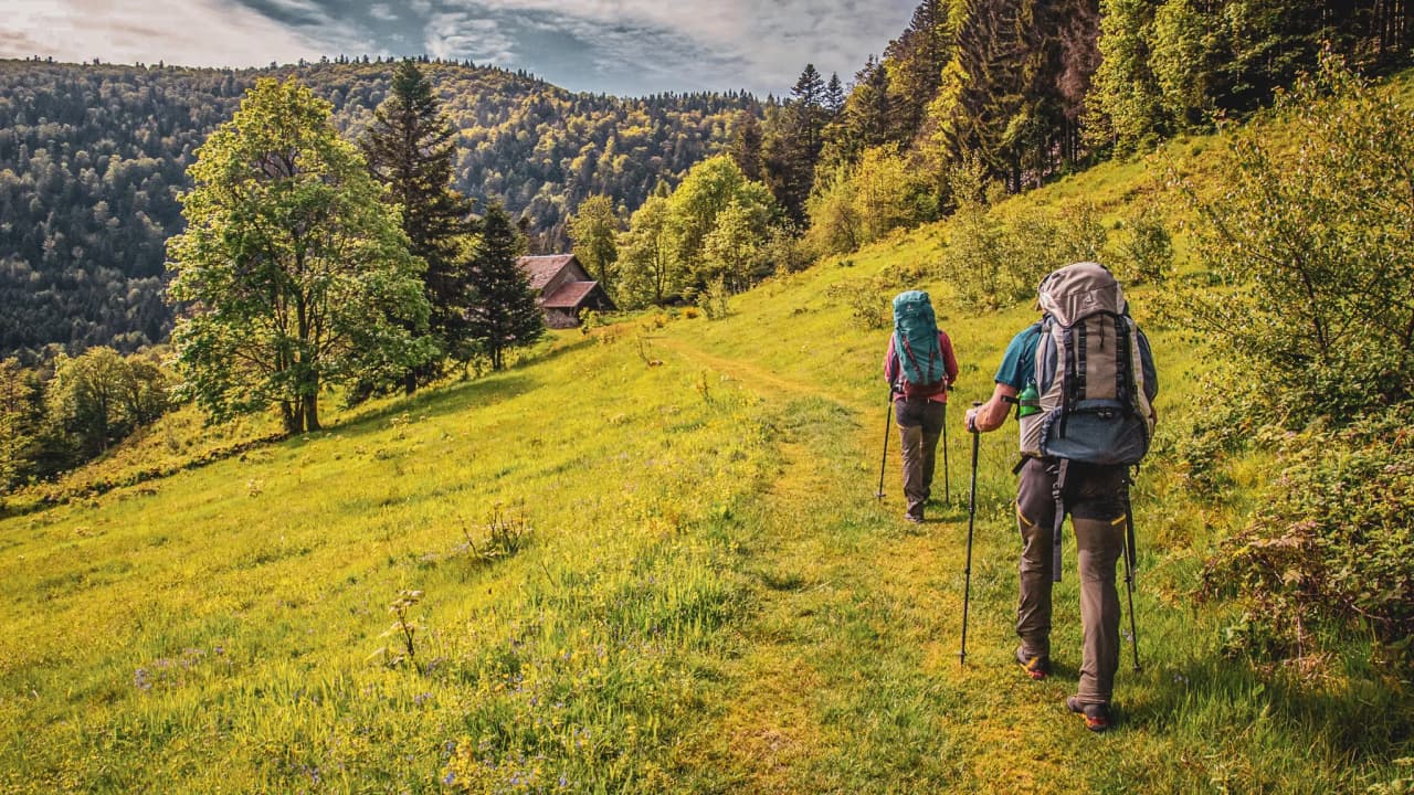 Randonneurs sur un sentier verdoyant des Vosges, entourés de montagnes et de nature apaisante.