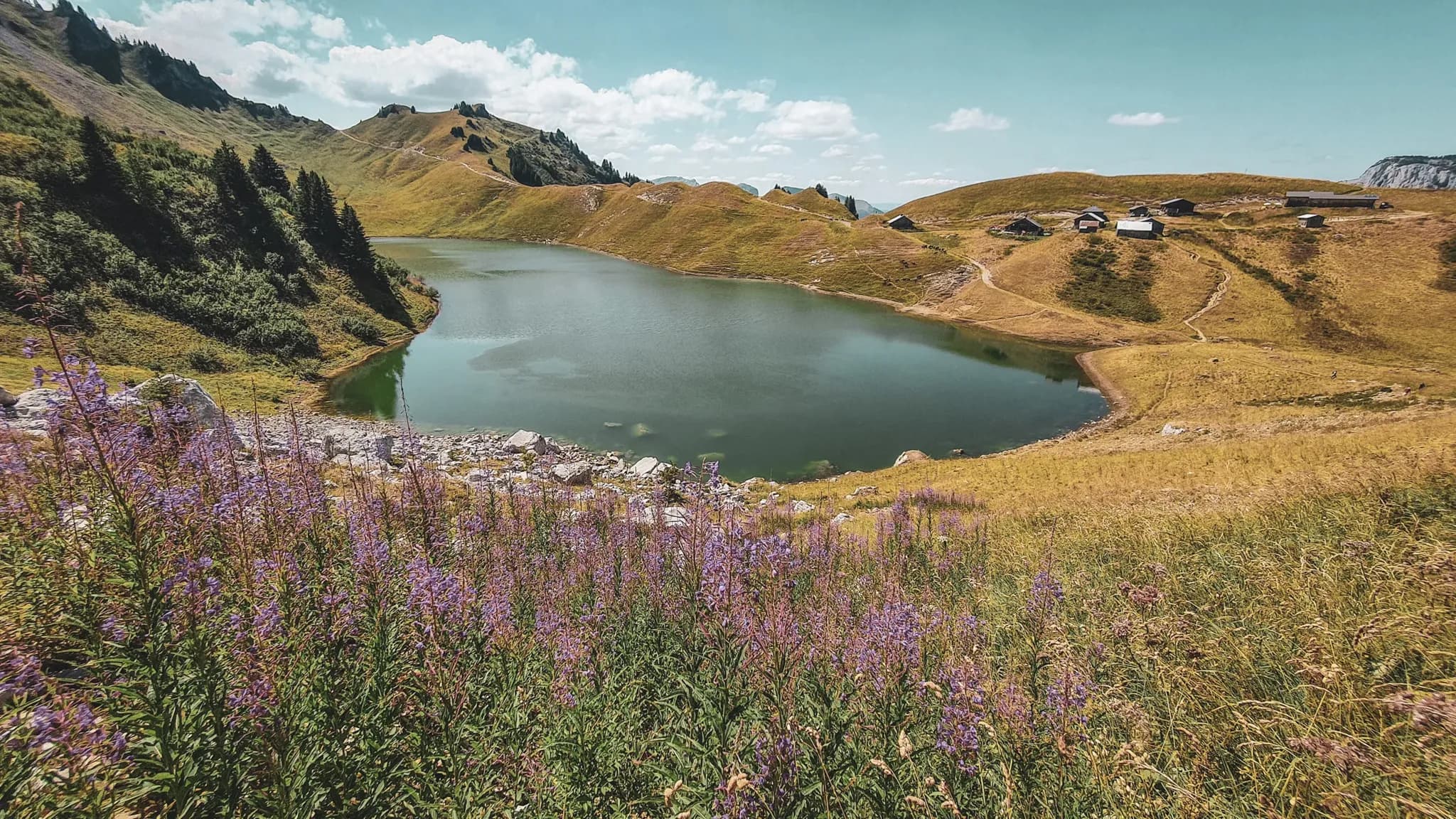 Lac paisible entouré de prairies fleuries et de sommets alpins, invitation à l'aventure en montagne.
