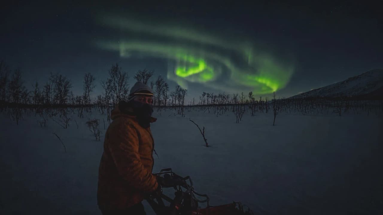 Un musher avec son attelage de huskys sous les aurores boréales dans la Laponie enneigée.