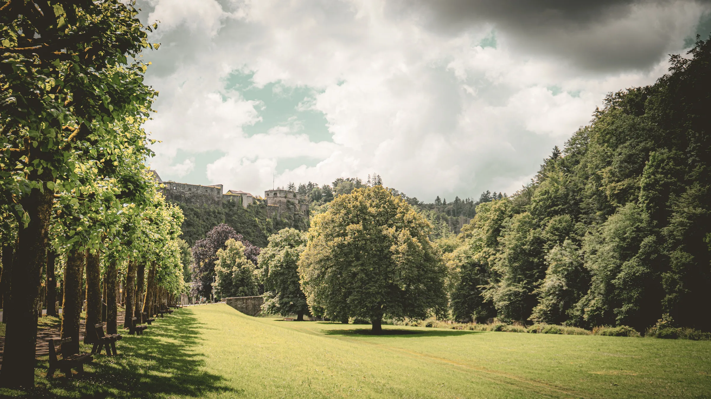 A verdant landscape in the Semois valley, with trees, inviting benches and a castle in the background.