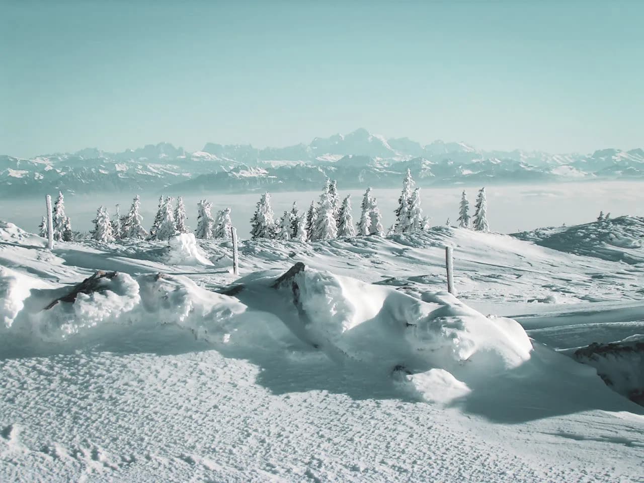 Snow-covered Jura landscape, snow-covered trees and majestic mountains on the horizon.