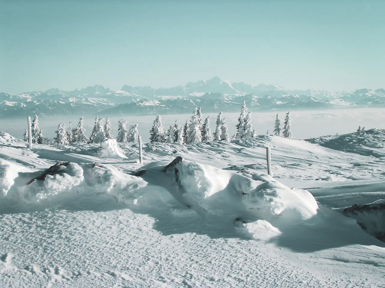 Snow-covered Jura landscape, snow-covered trees and majestic mountains on the horizon.