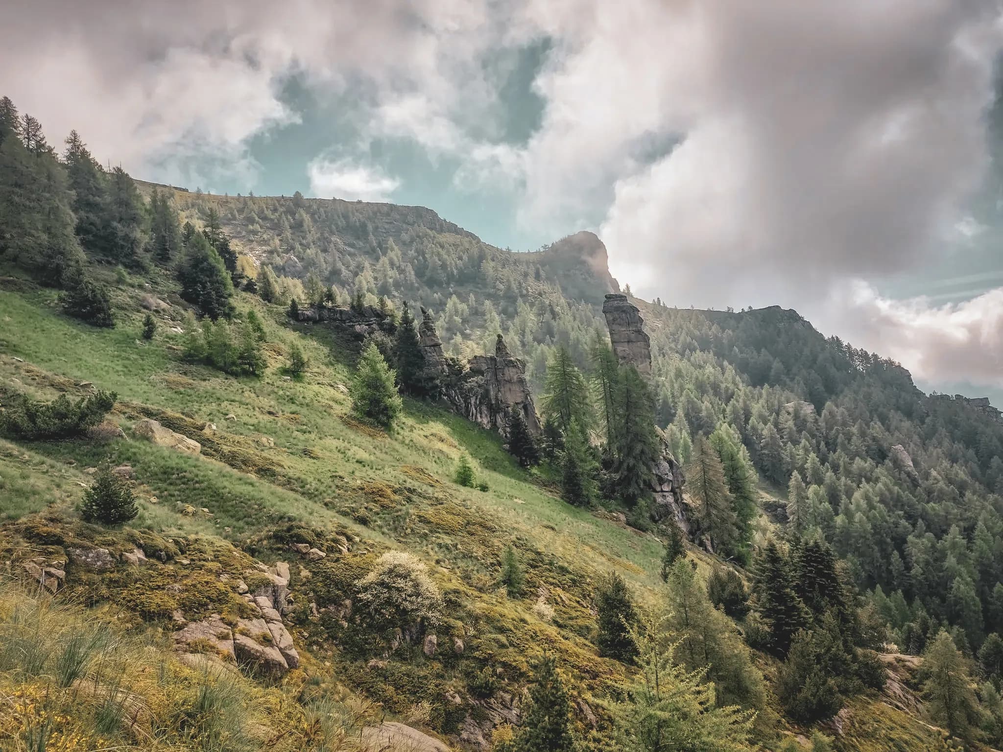 Paysage alpin des Écrins, avec des forêts verdoyantes et des montagnes sous un ciel nuageux.