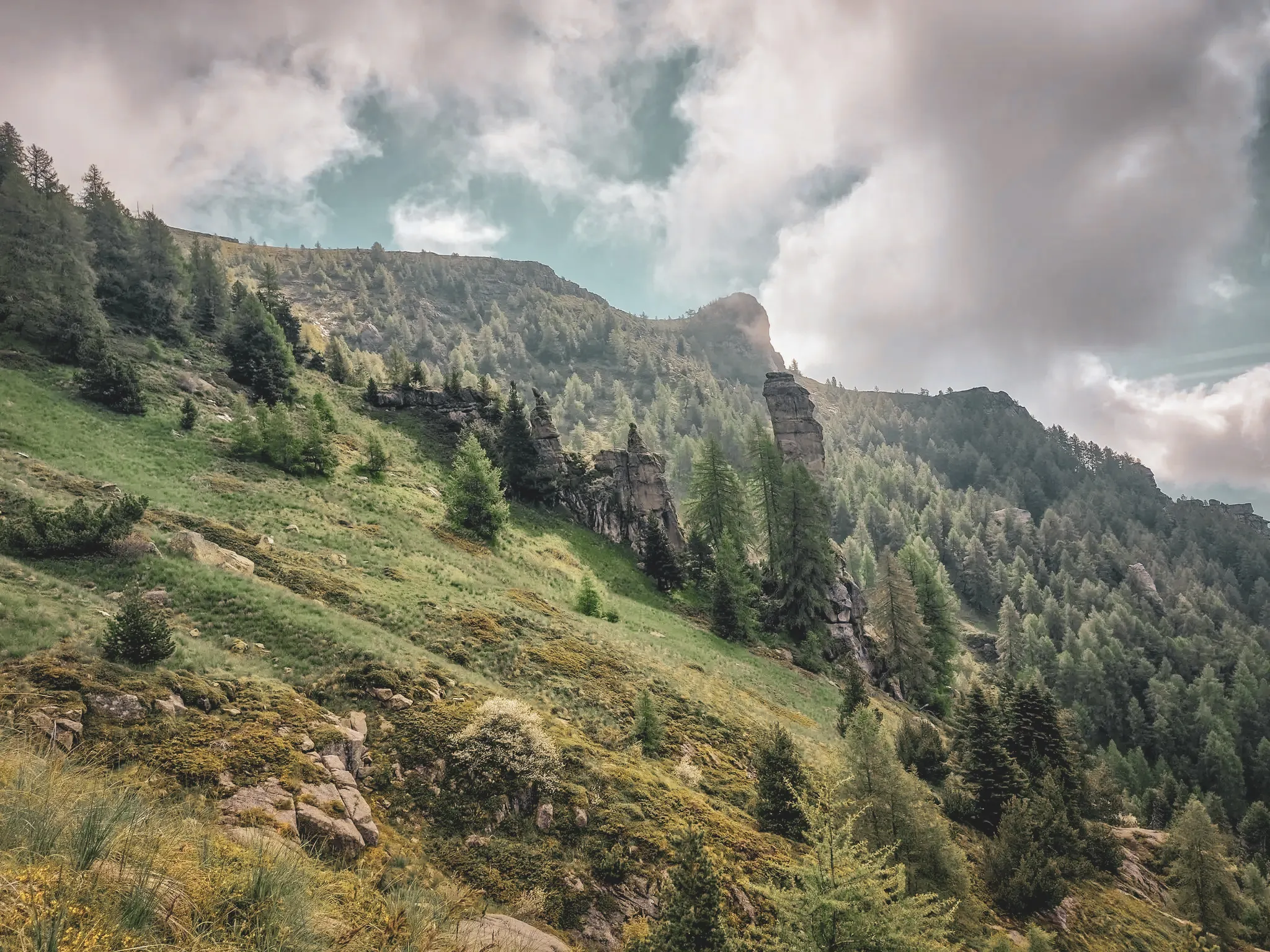 Paysage alpin des Écrins, avec des forêts verdoyantes et des montagnes sous un ciel nuageux.