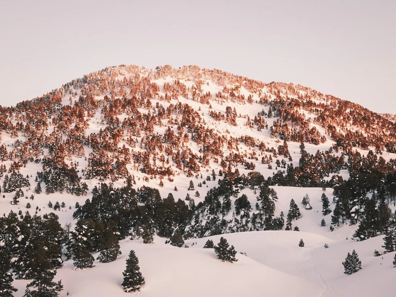 Een besneeuwde berg, verlicht door de zon, omringd door dennenbomen, die uitnodigt tot avontuur in de Vercors.