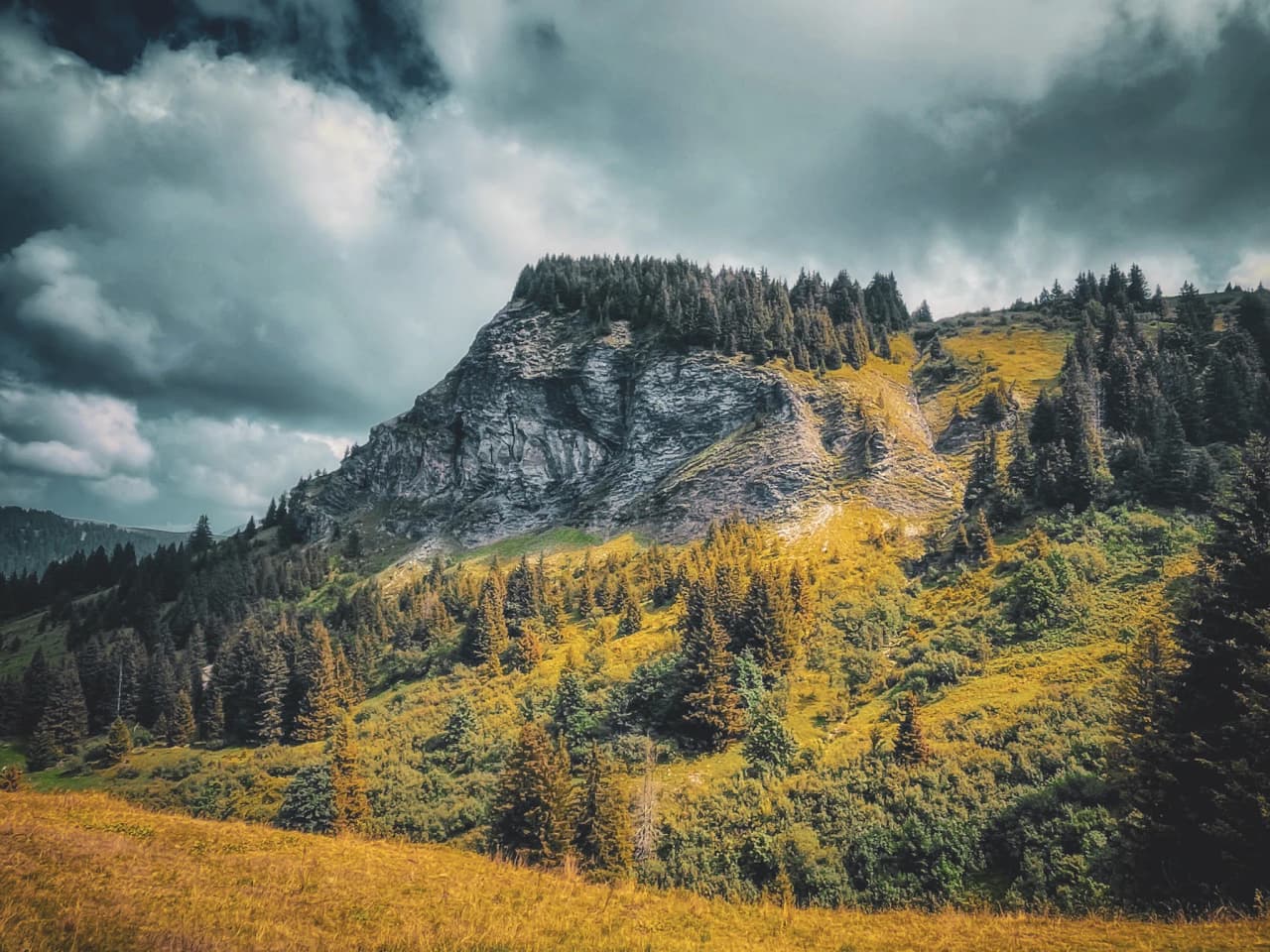 A majestic alpine ridge surrounded by fir trees, under cloudy skies, offering a beautiful panorama.