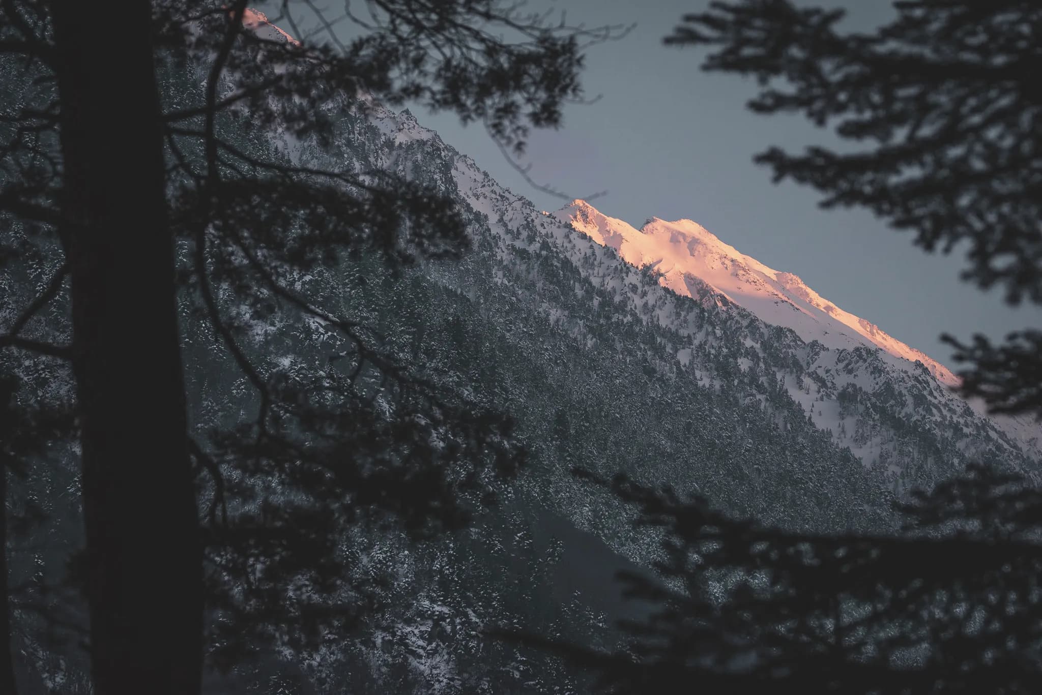 A mountain slope covered in snow at dusk, surrounded by dark forests. Escape to the heart of nature.