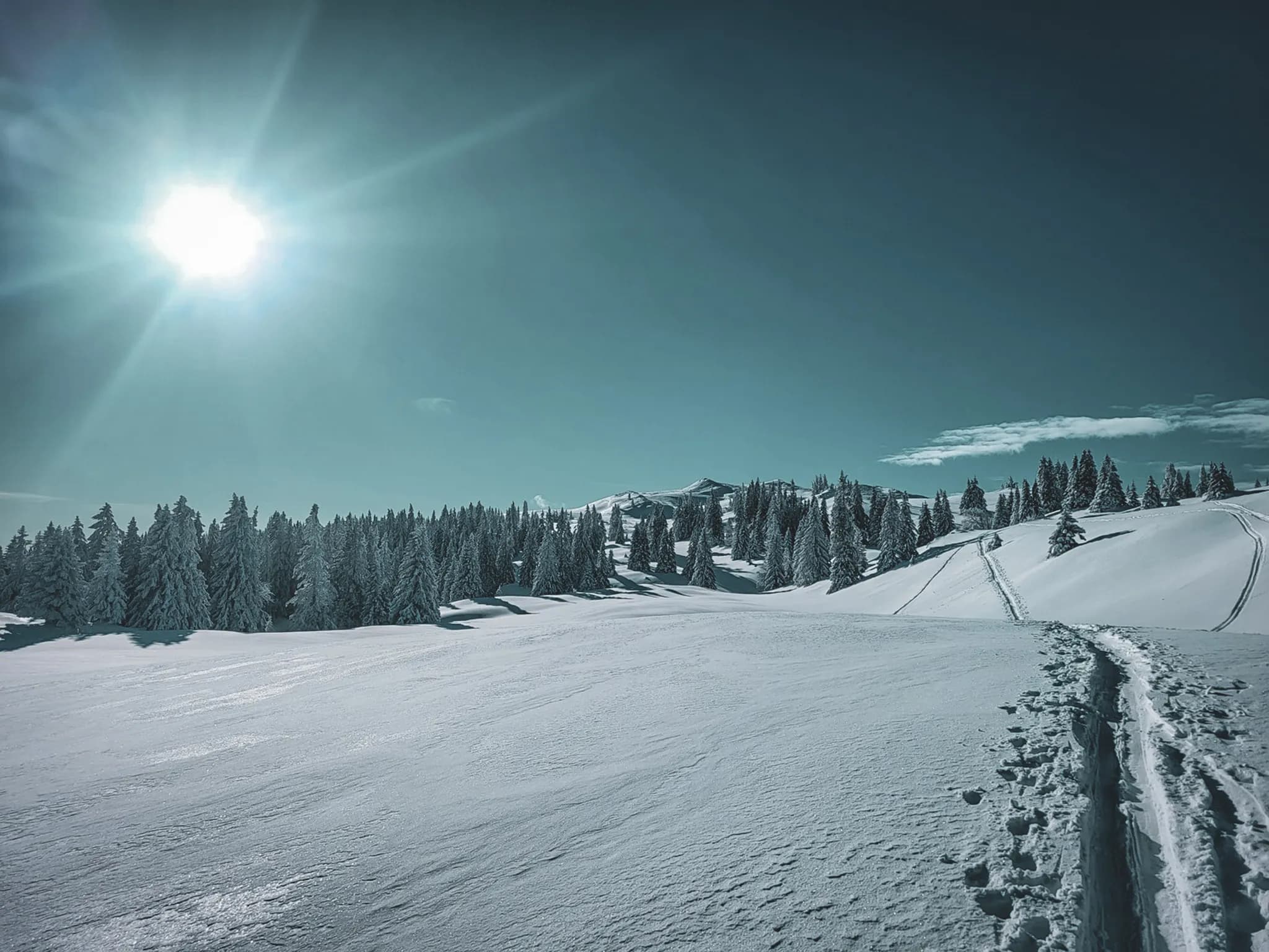 A majestic winter landscape of snow-covered forests under a brilliant blue sky.