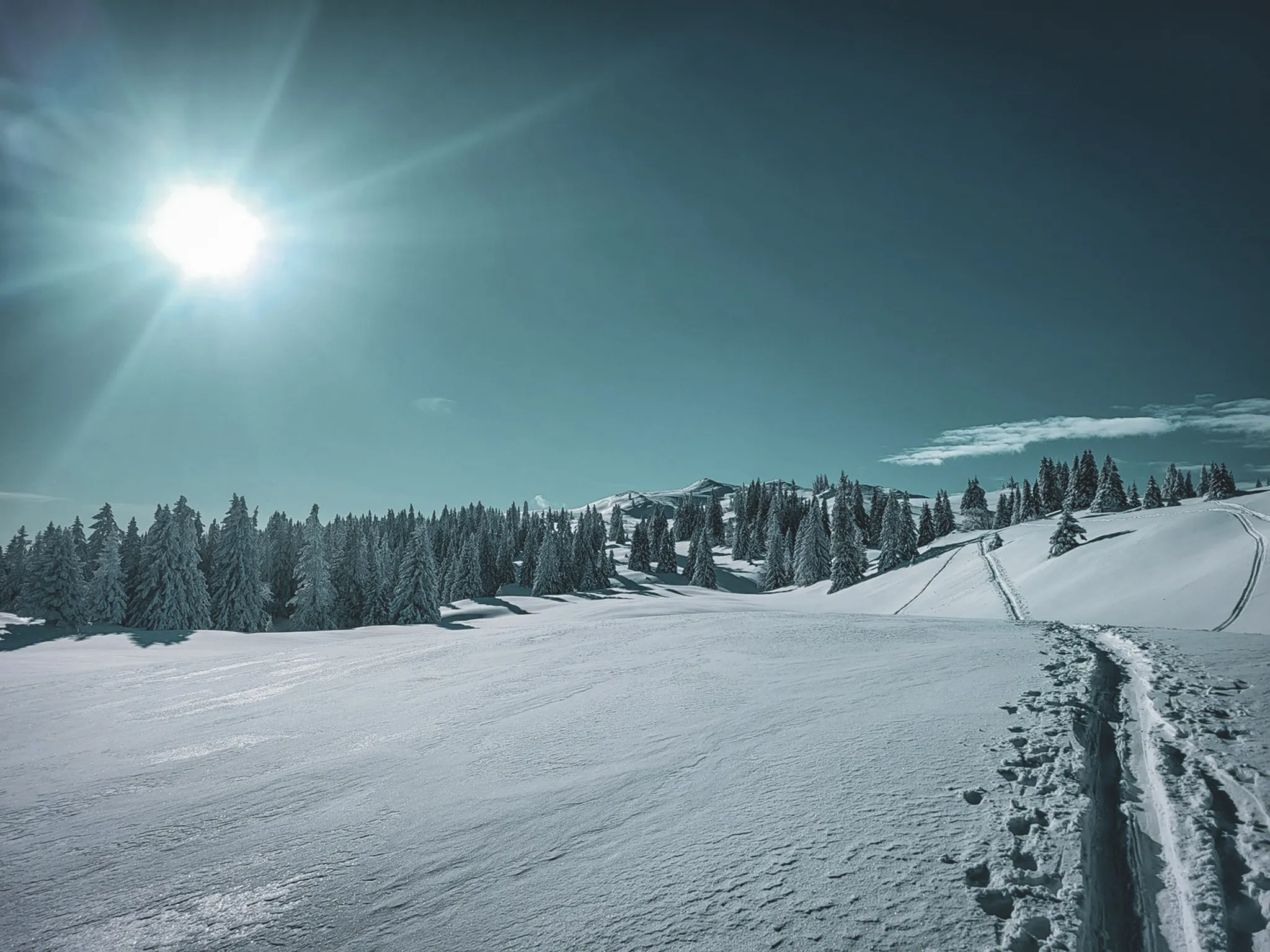 A majestic winter landscape of snow-covered forests under a brilliant blue sky.
