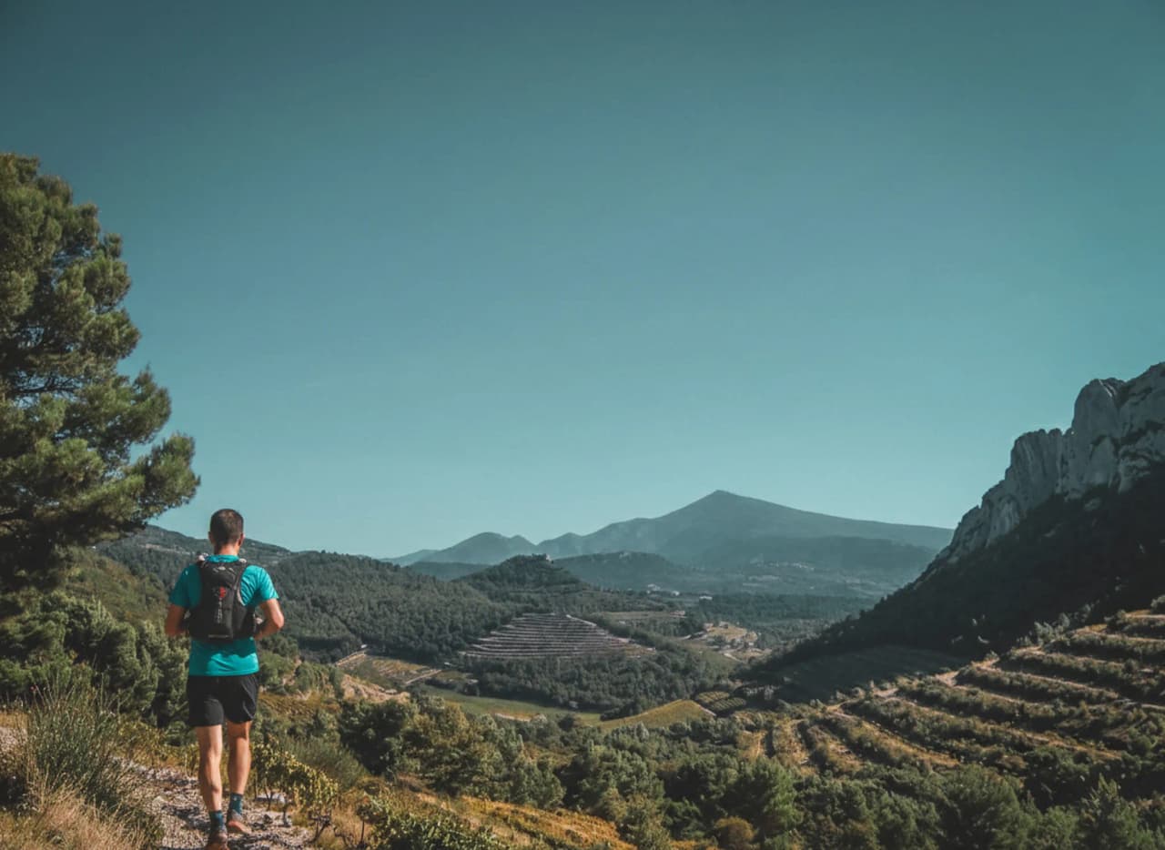 Randonneur contemplant les paysages magnifiques du Ventoux, en pleine nature ensoleillée.