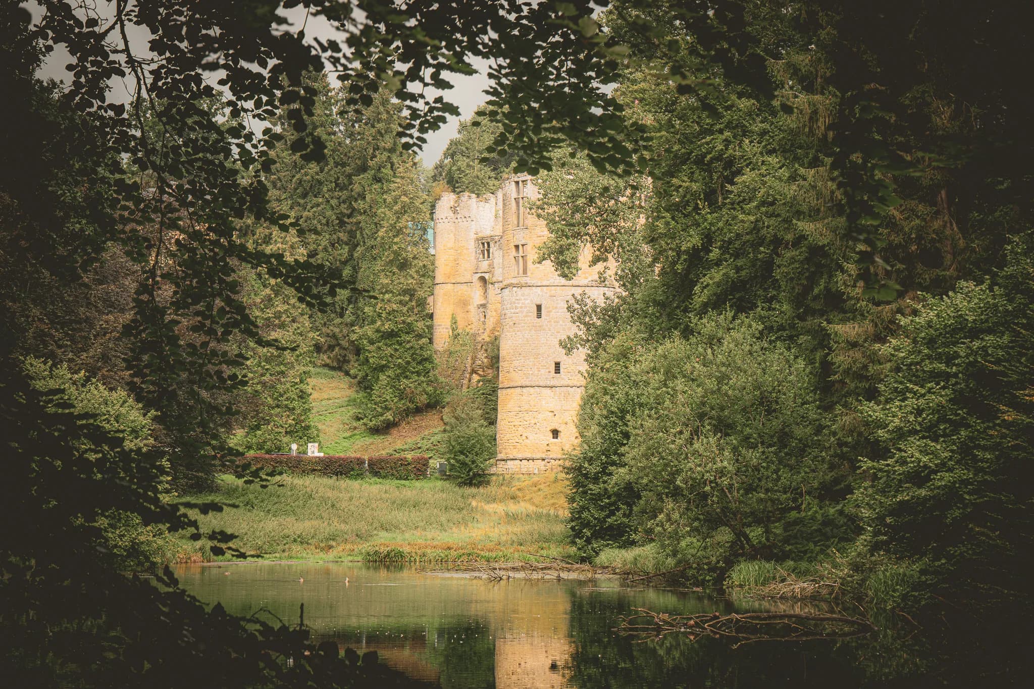 Un château médiéval au bord d'un lac, entouré de verdure luxuriante et de mystère.