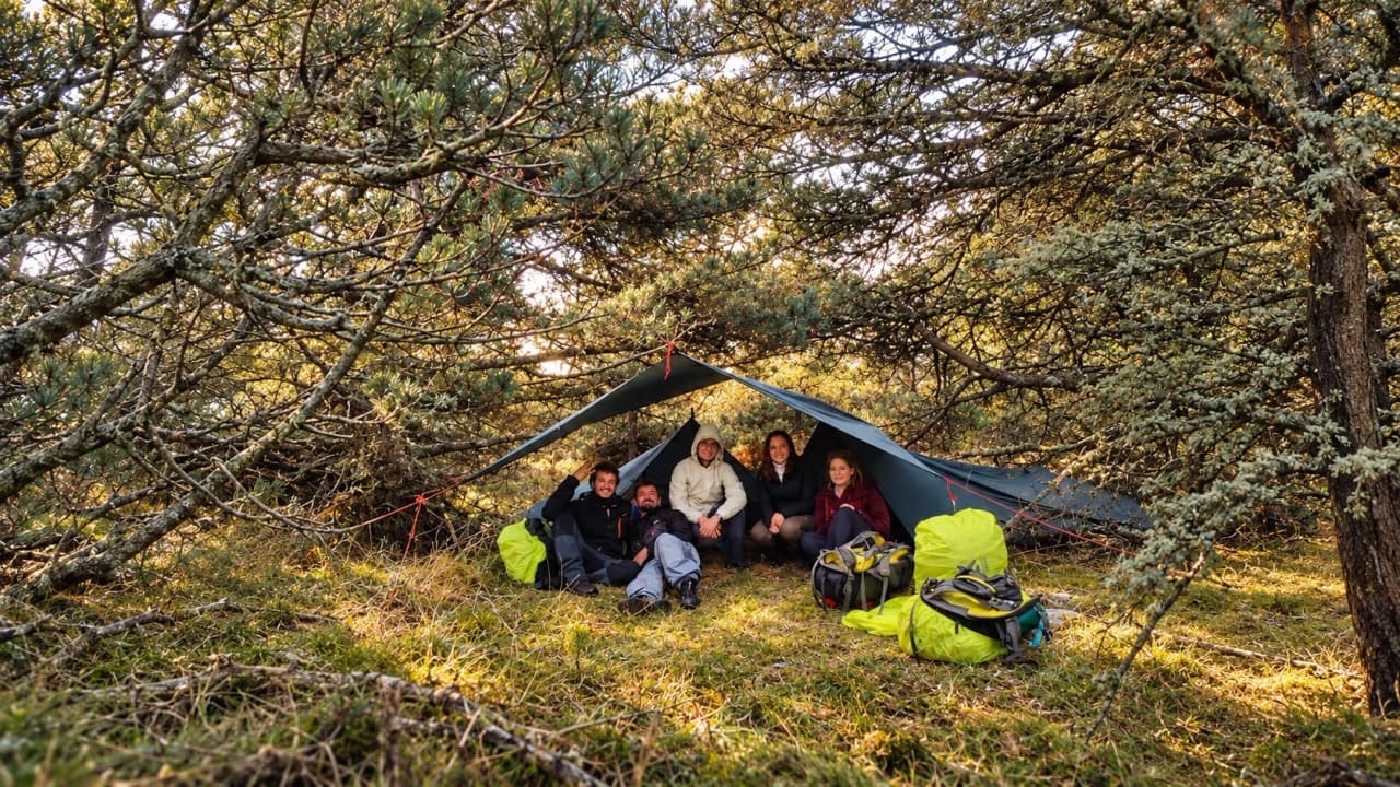 A group of young people camping under a tarp, surrounded by greenery in the Cévennes. A convivial moment.