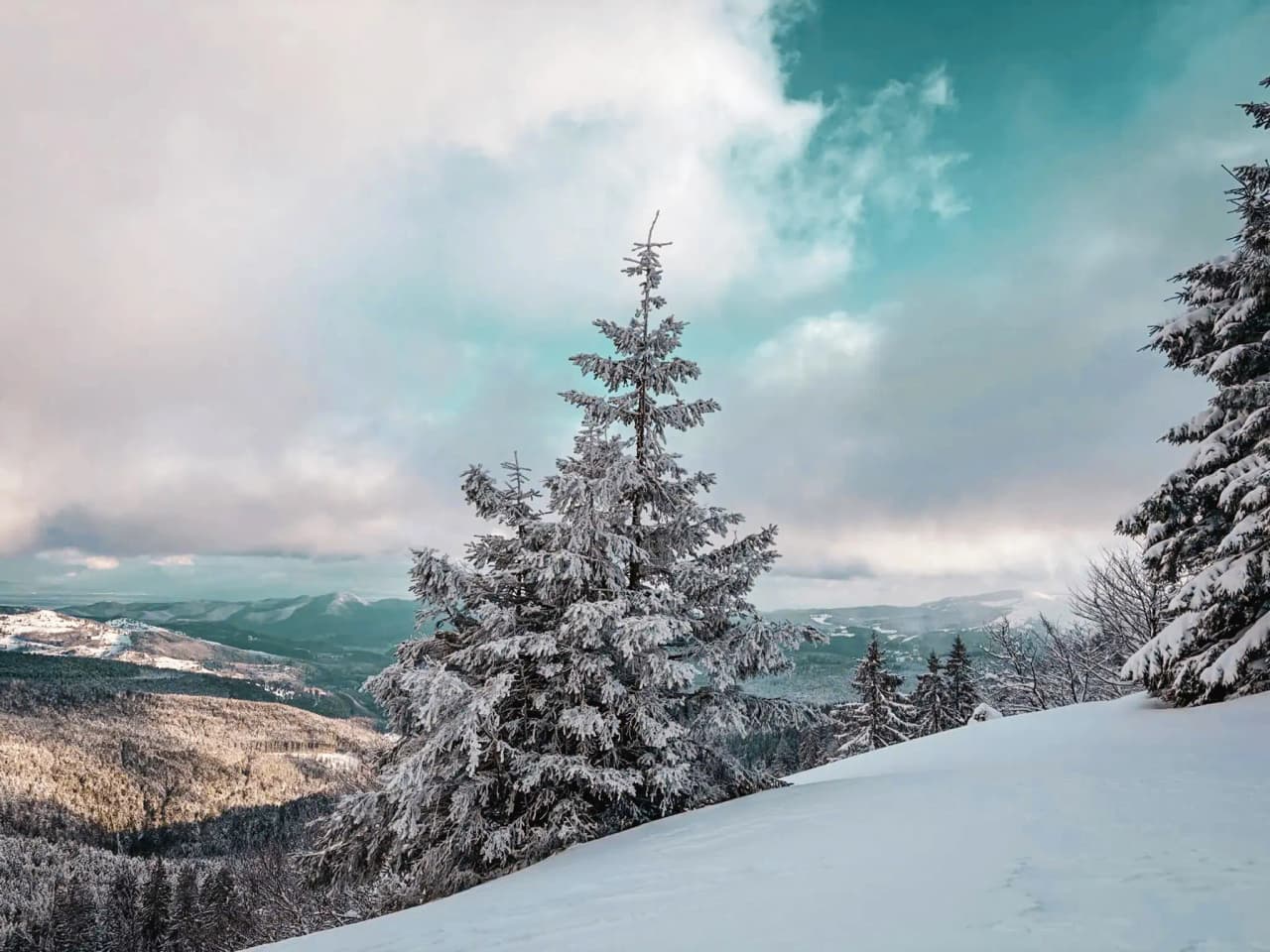 Een winterlandschap in de Vogezen, besneeuwde bomen onder een turquoise hemel, een uitnodiging tot avontuur.