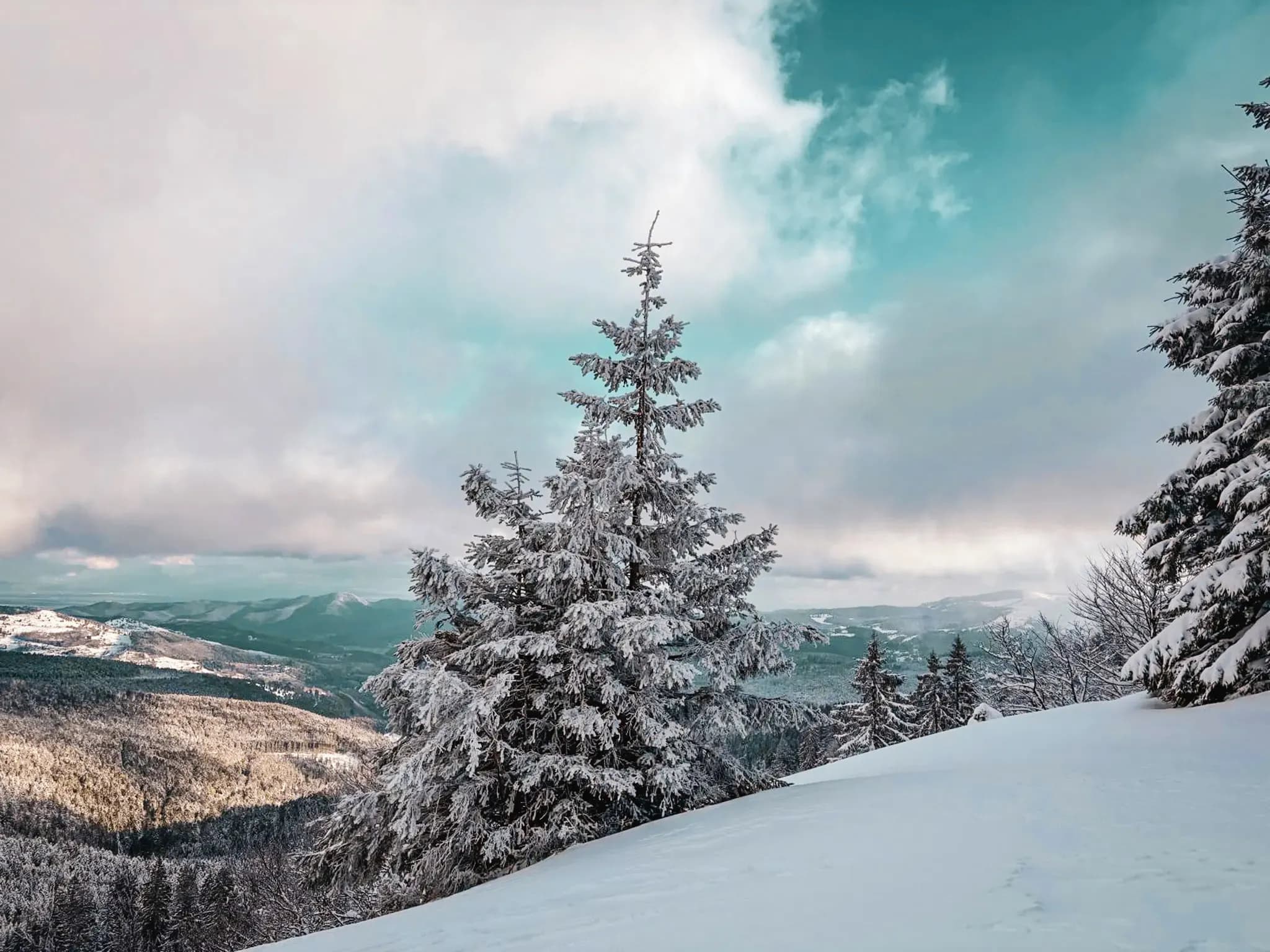 A winter landscape in the Vosges, snow-covered trees under a turquoise sky, an invitation to adventure.