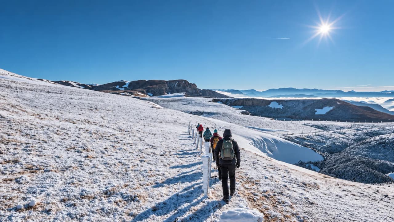 A group of snowshoe walkers in a sunny, snow-covered landscape in the Vercors.