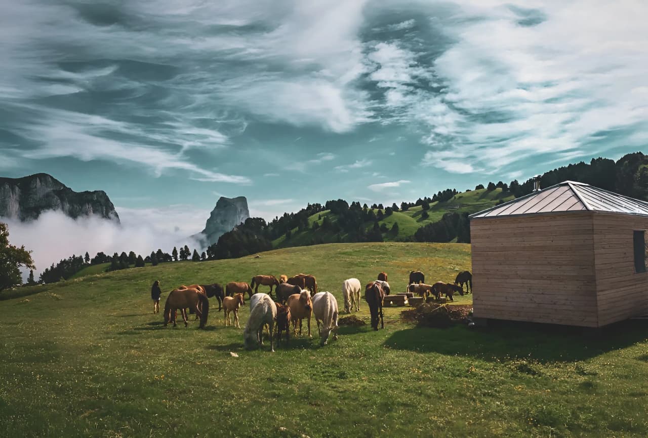 A green landscape with grazing horses, a wooden shelter and majestic mountains in the background.