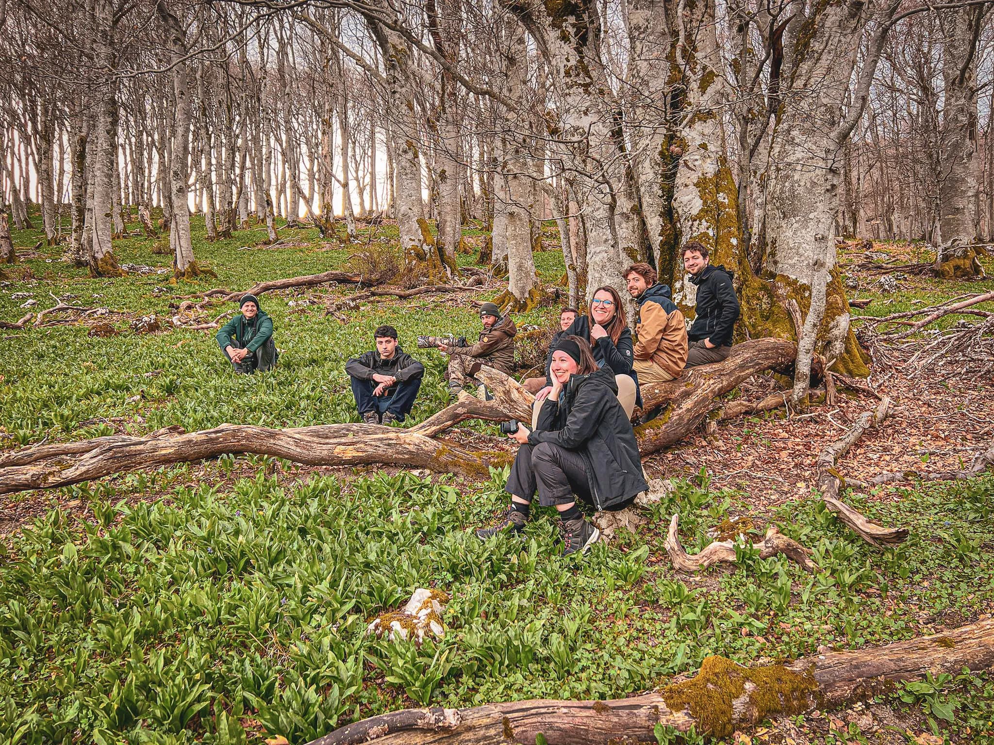 Een groep wandelaars rust uit in een groen bos in de Vercors, omringd door majestueuze bomen.