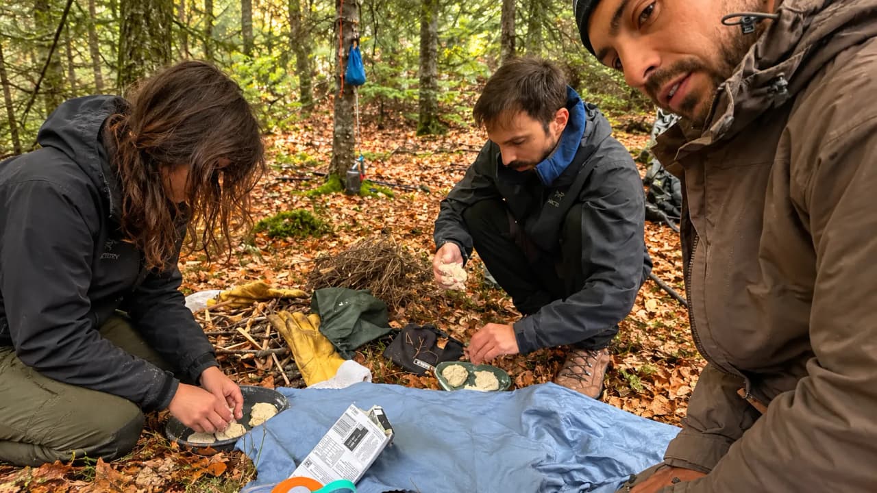 Three people out in the countryside are busy preparing a meal during a bushcraft expedition.