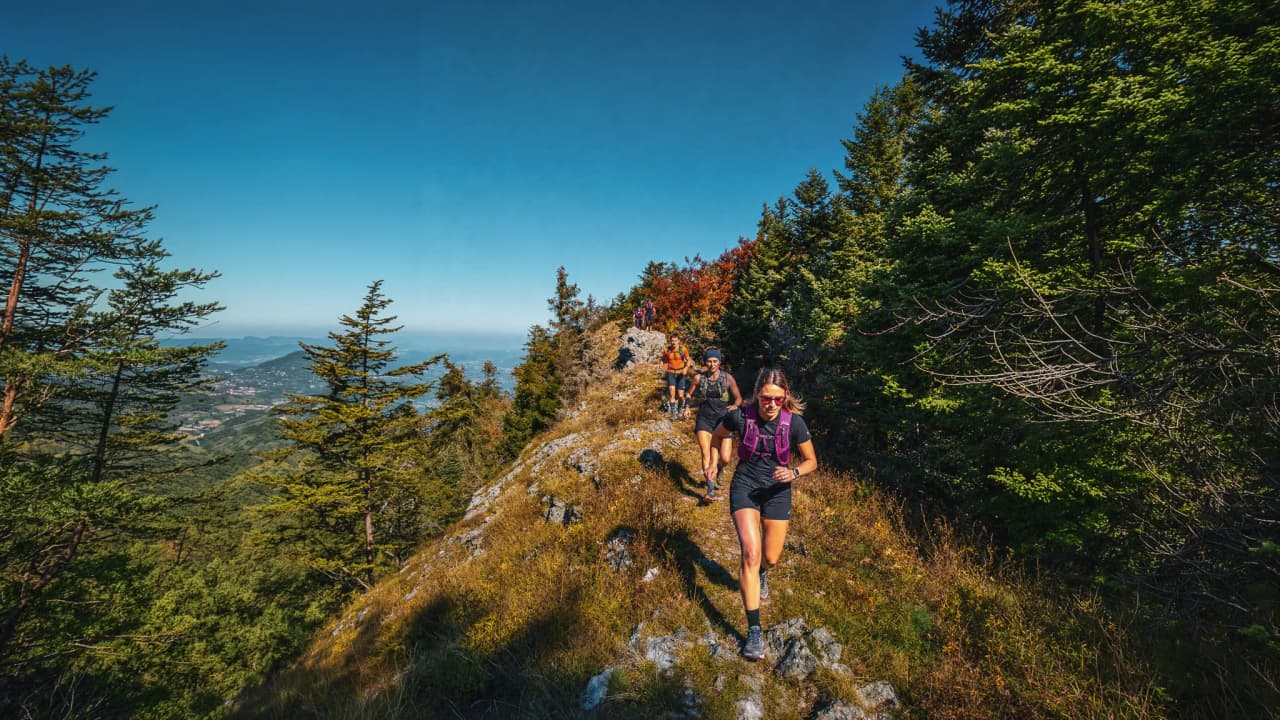 Groupe de coureurs sur un sentier ensoleillé, entouré de paysages verdoyants en Chartreuse.