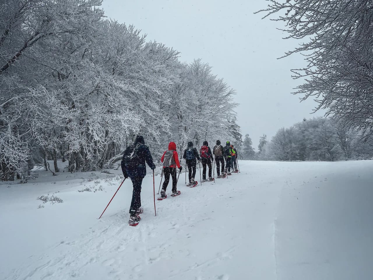 A snow-covered wooden Mountain hut with panoramic views of the Vosges mountains, an invitation to get away from it all.