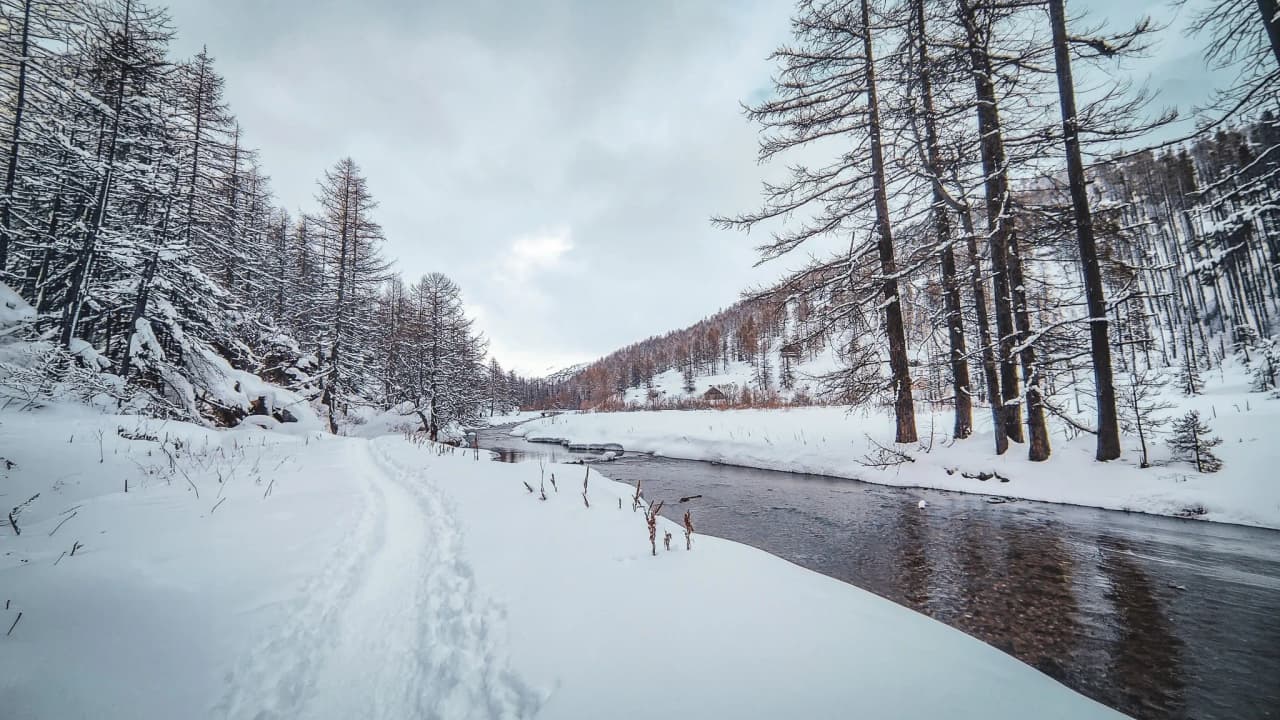 A snow-covered path lined with trees, running alongside a peaceful river, beckons you to embark on a winter adventure.